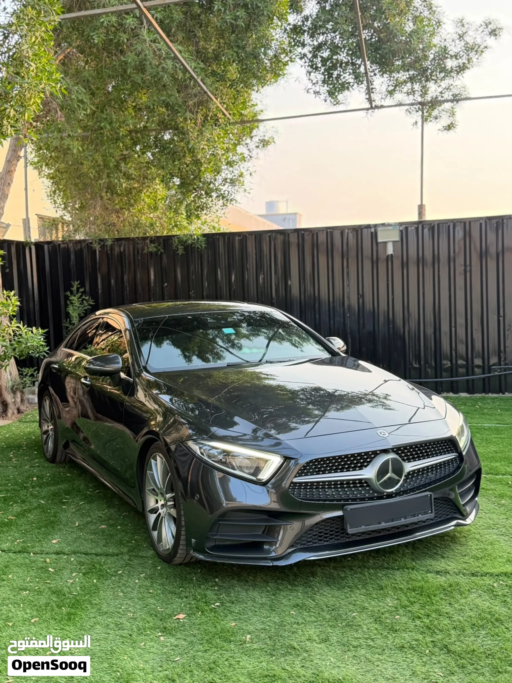 2019 Mercedes Benz Cls Class
