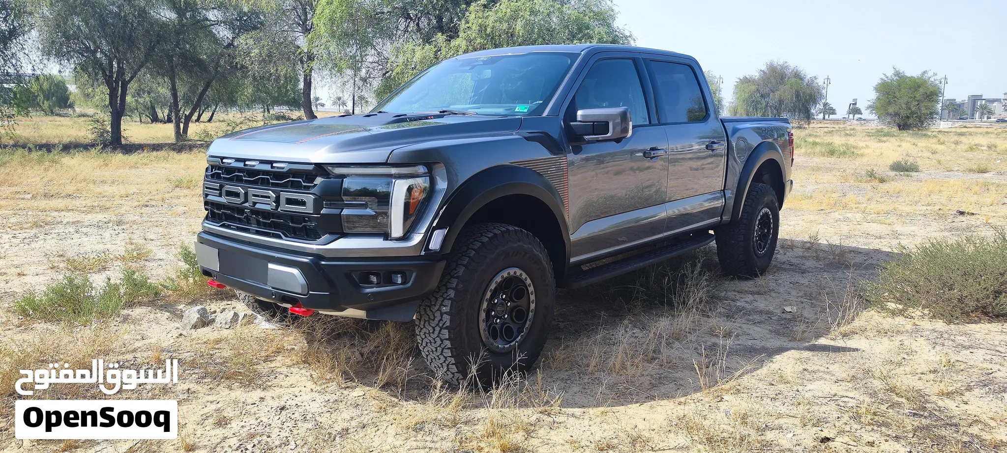 2025 Ford F 150