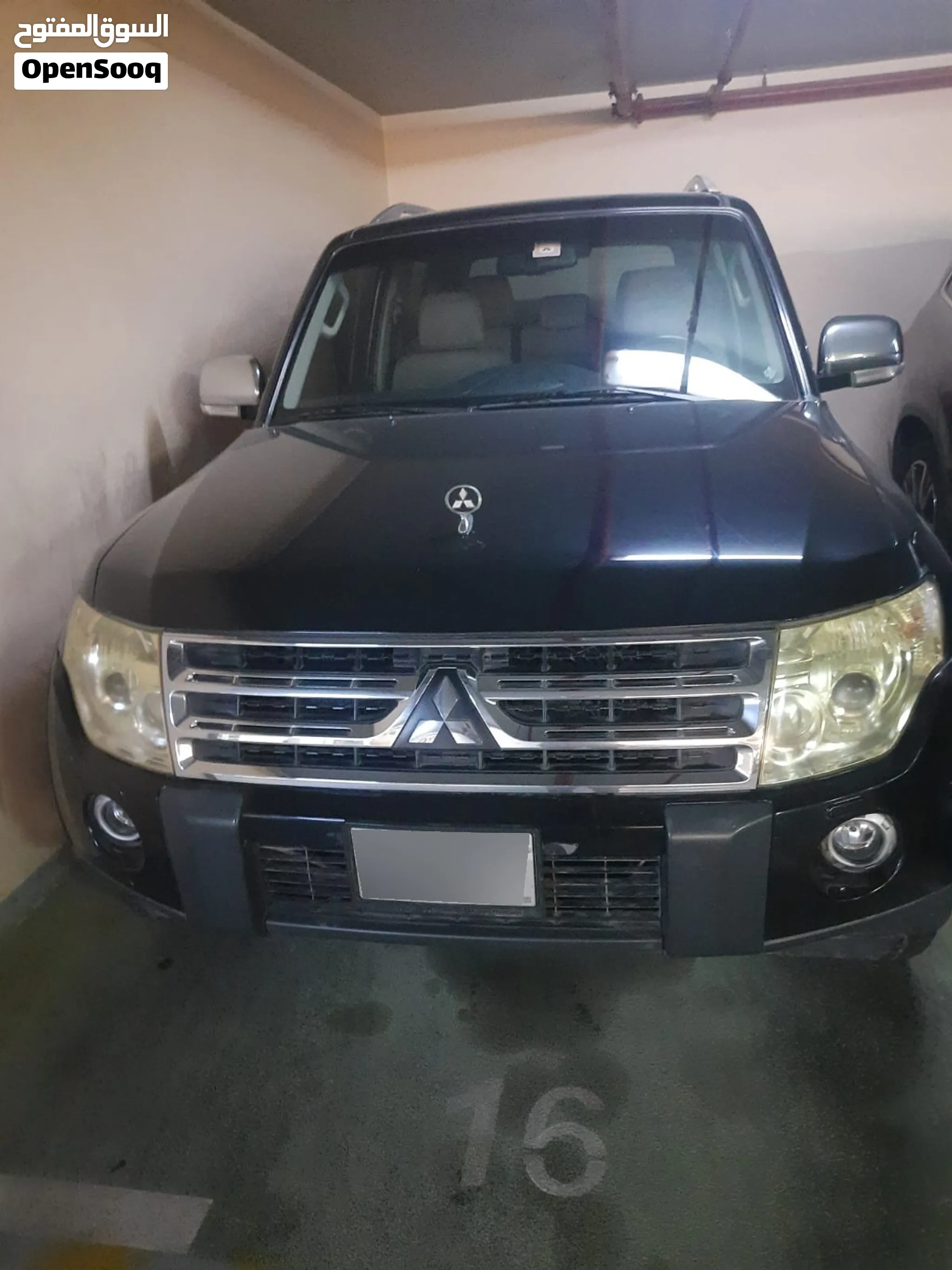 2009 Mitsubishi Pajero Sport