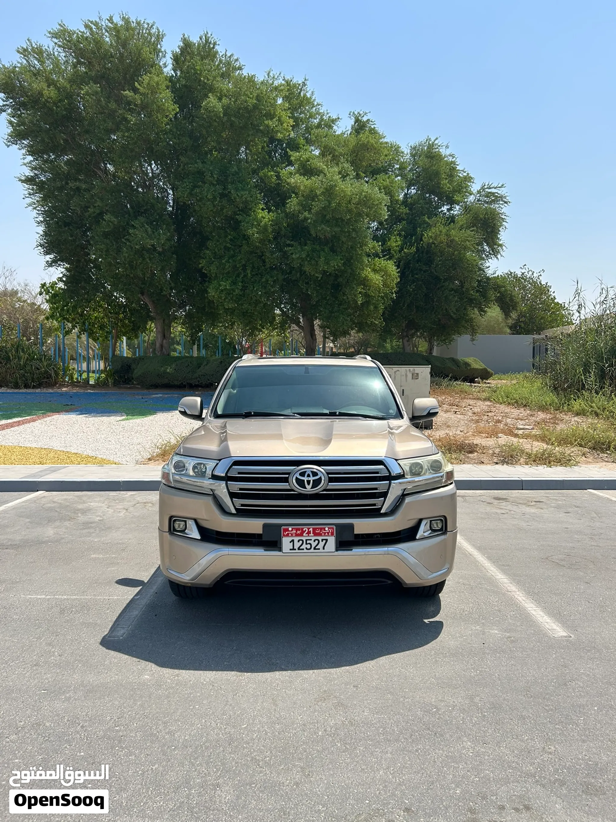 2017 Toyota Land Cruiser