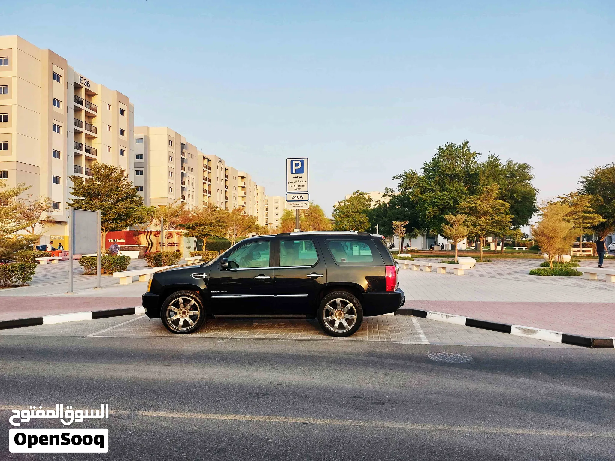 2010 Cadillac Escalade