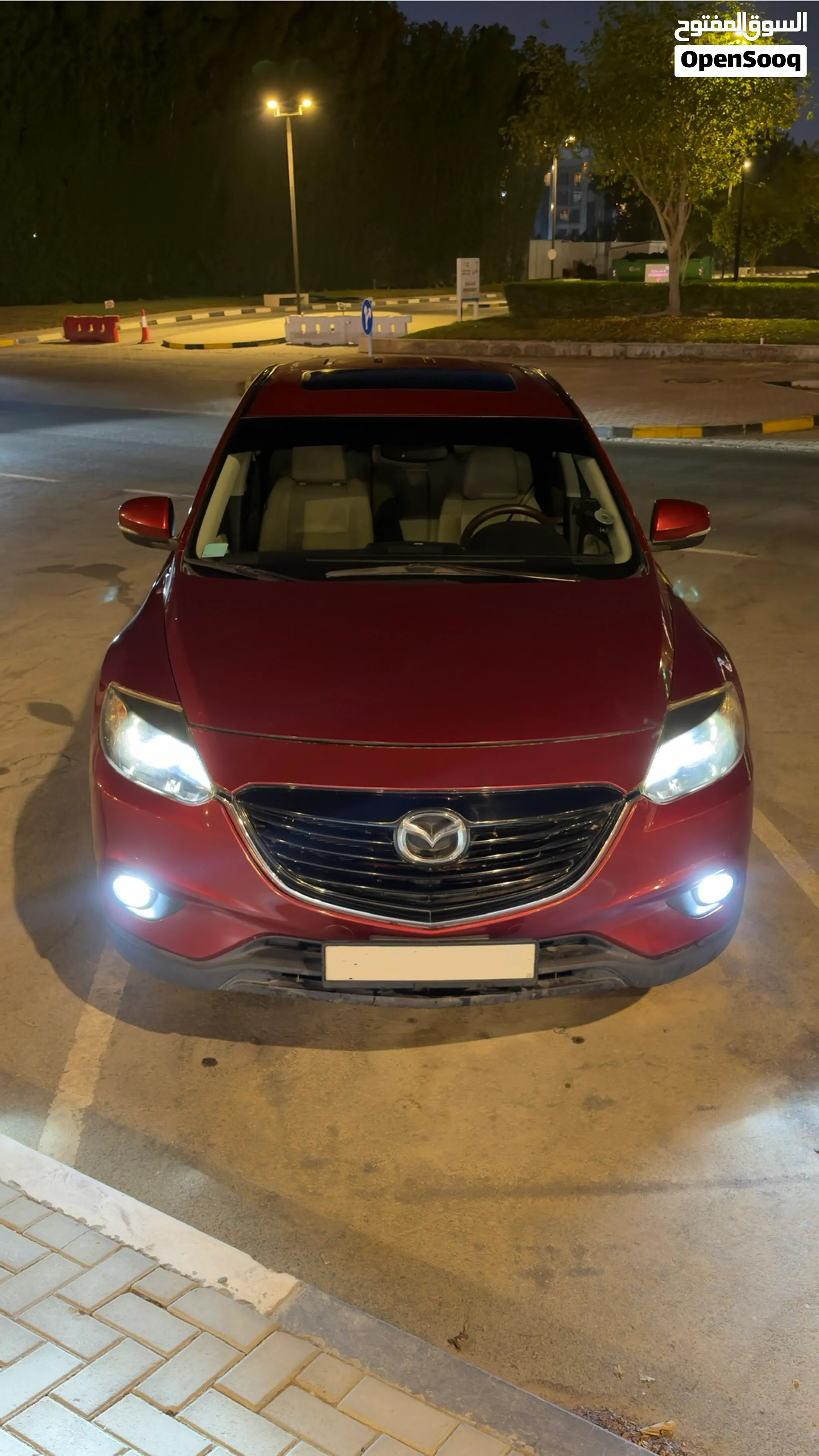 2013 Mazda CX 9
