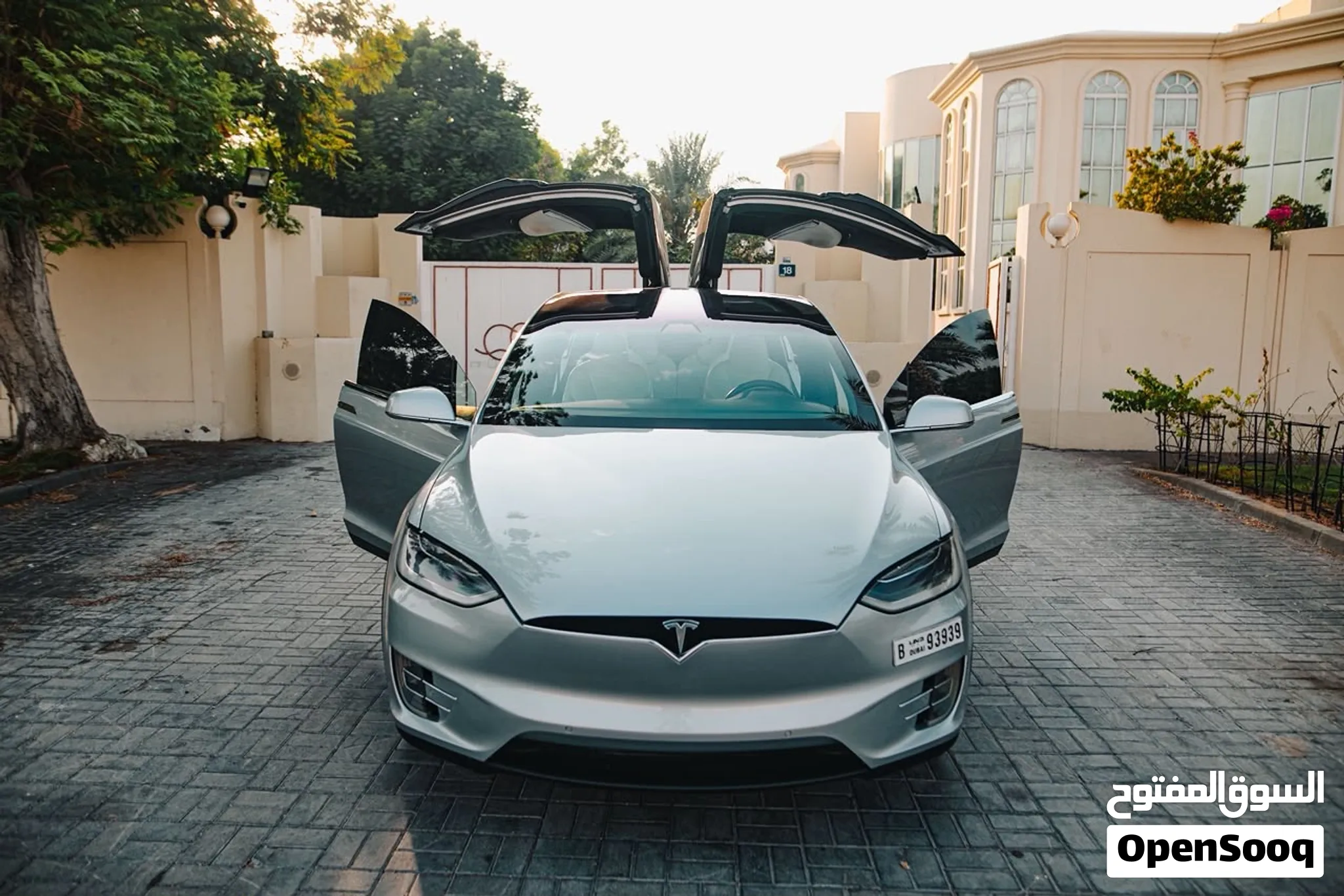 2017 Tesla Model X