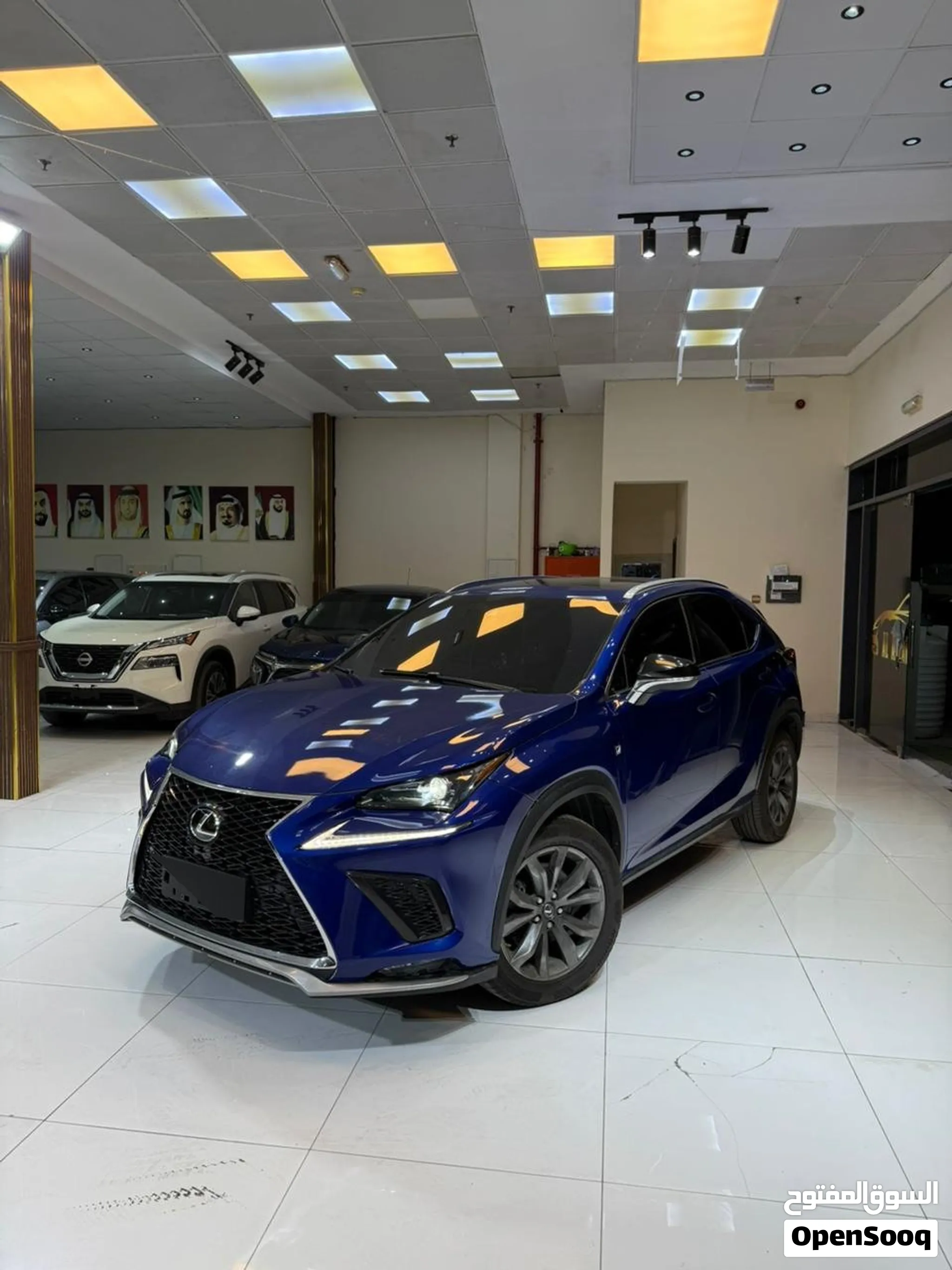 2018 Lexus NX