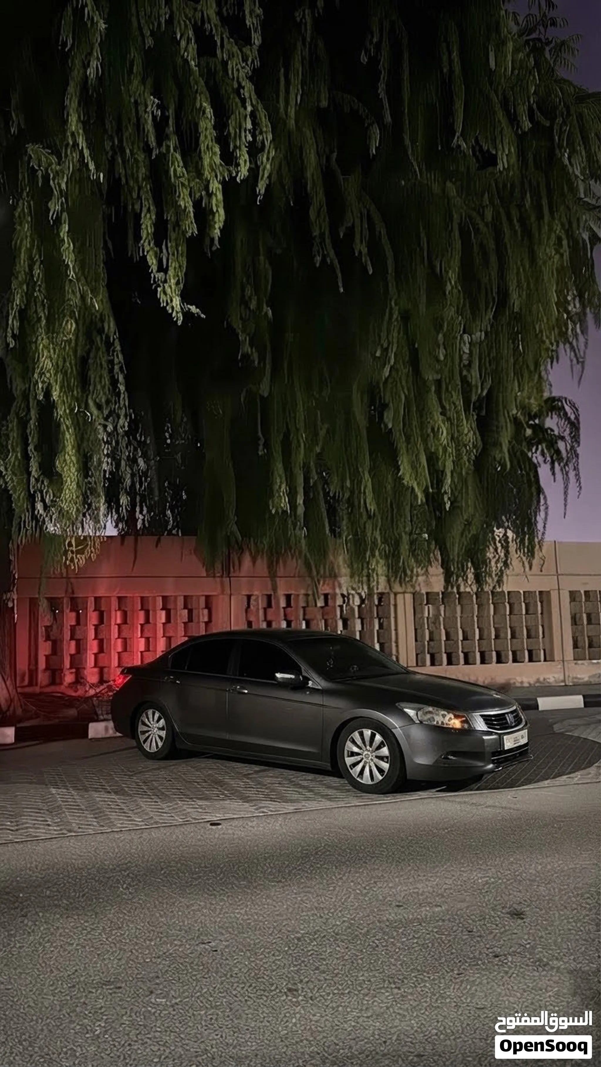 2010 Honda Accord