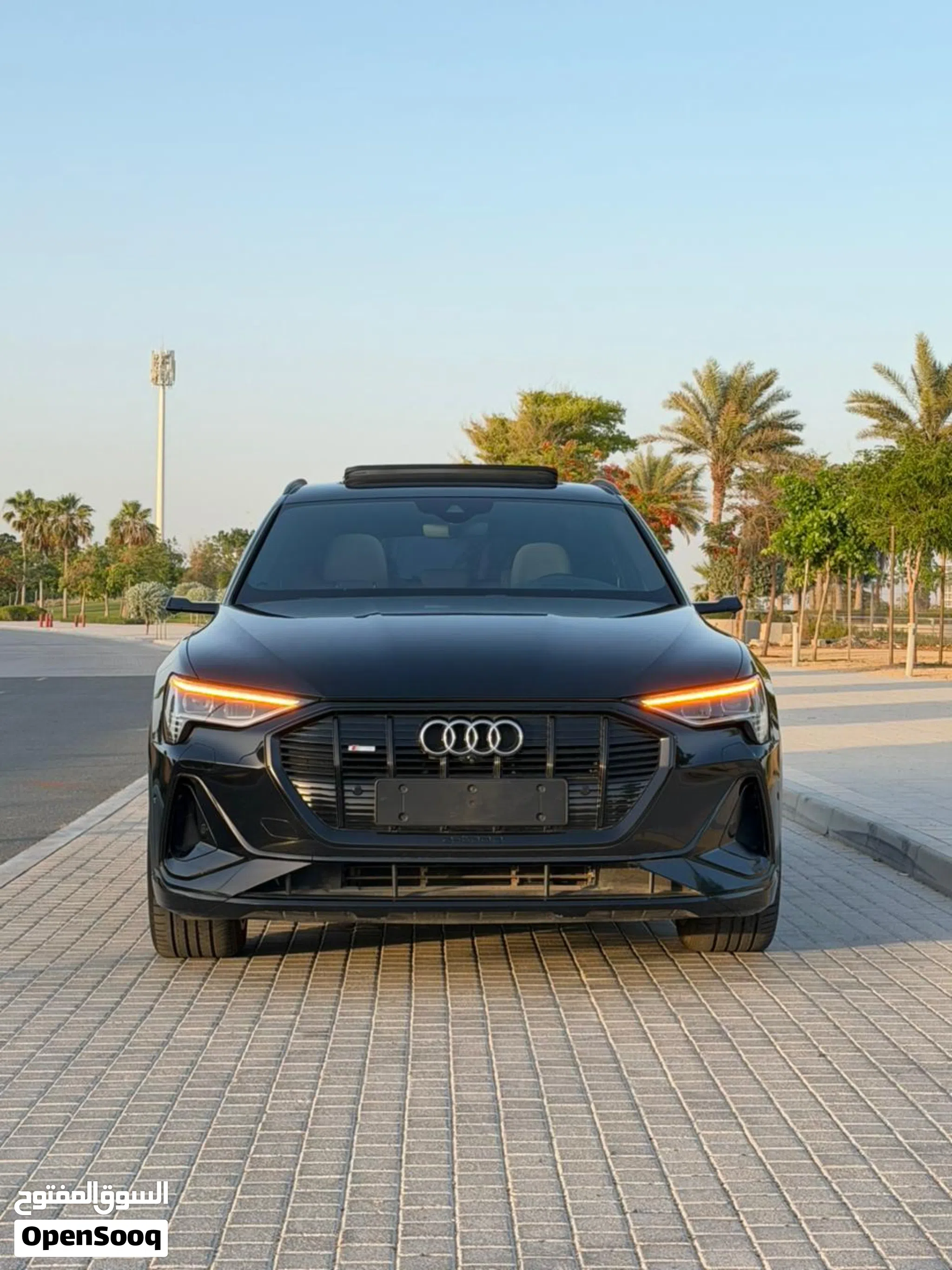 2020 Audi Q8 E-Tron