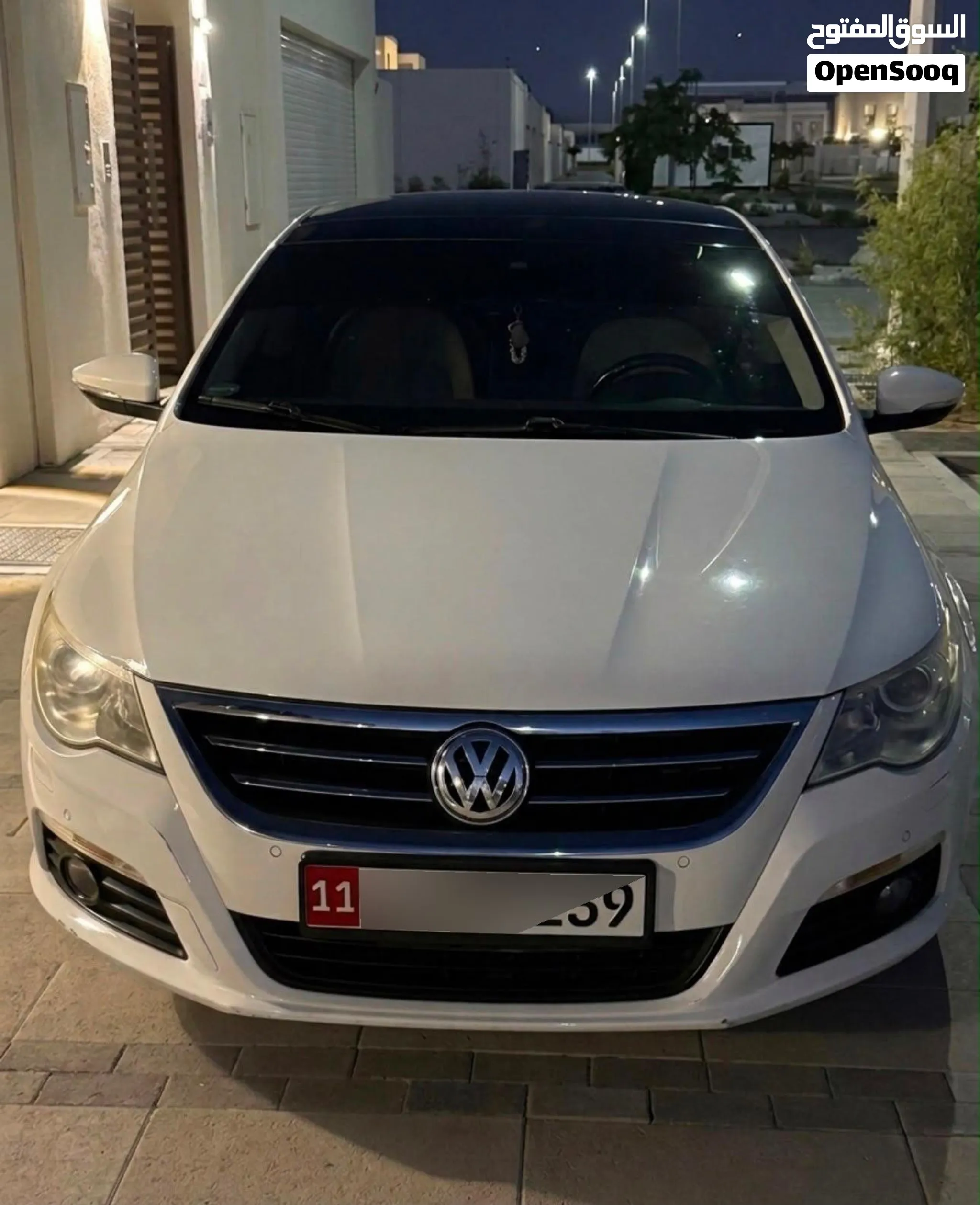 2010 Volkswagen Passat