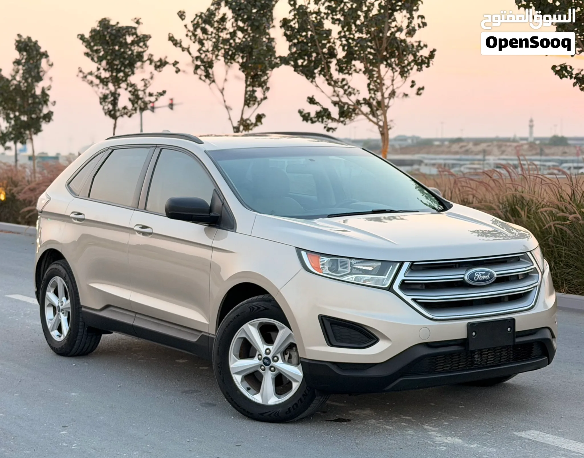 2017 Ford Edge