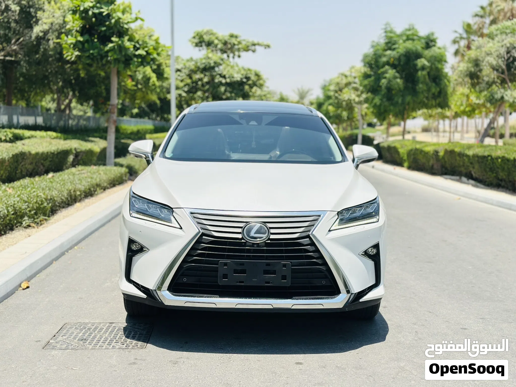 2018 Lexus RX