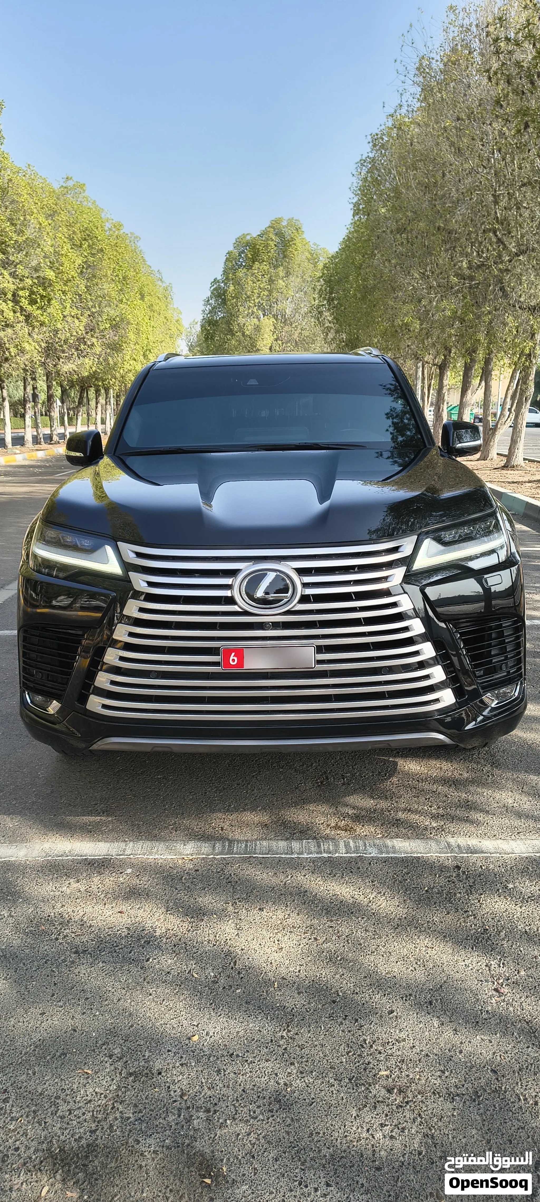 2024 Lexus LX