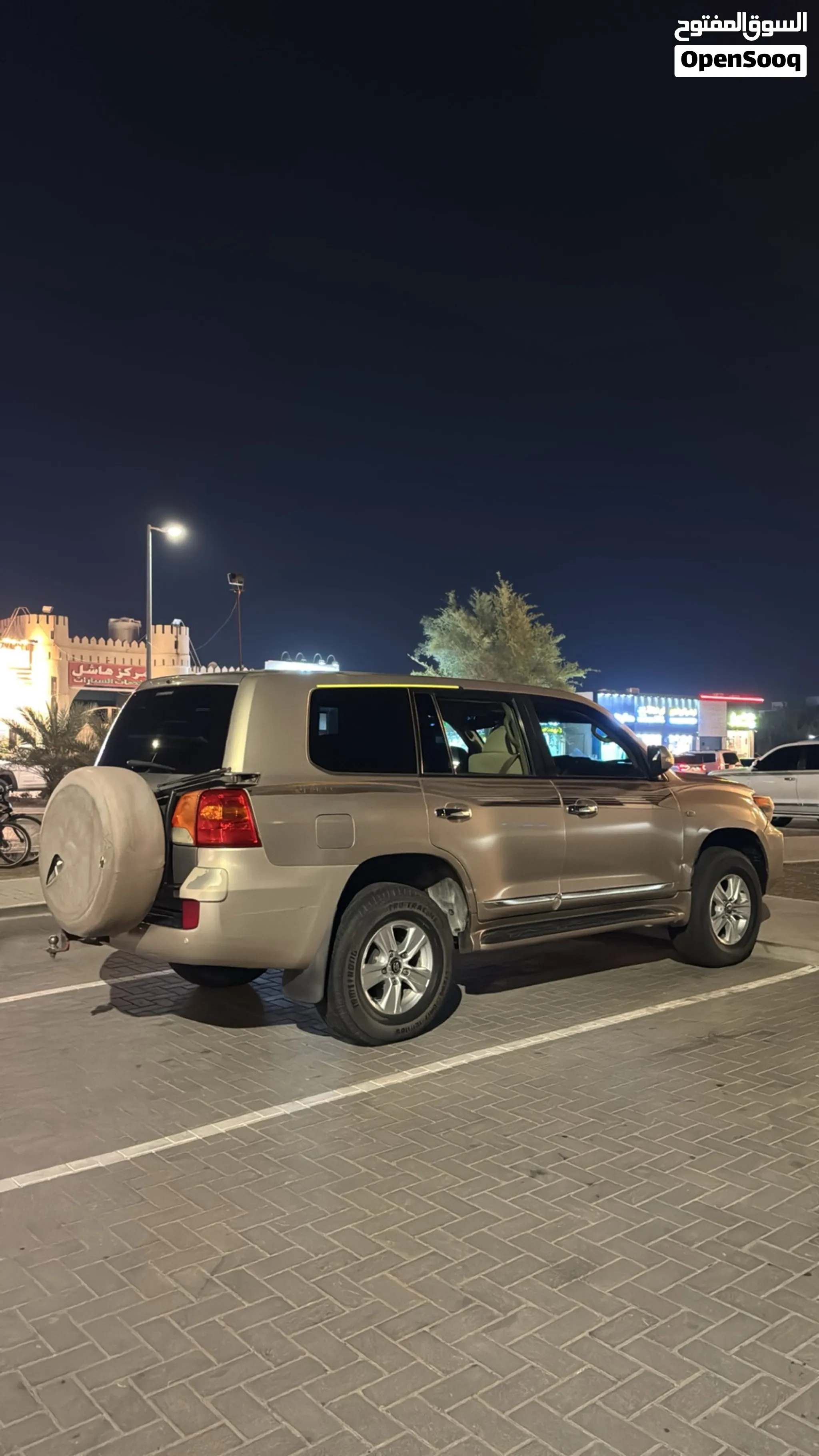 2010 Toyota Land Cruiser