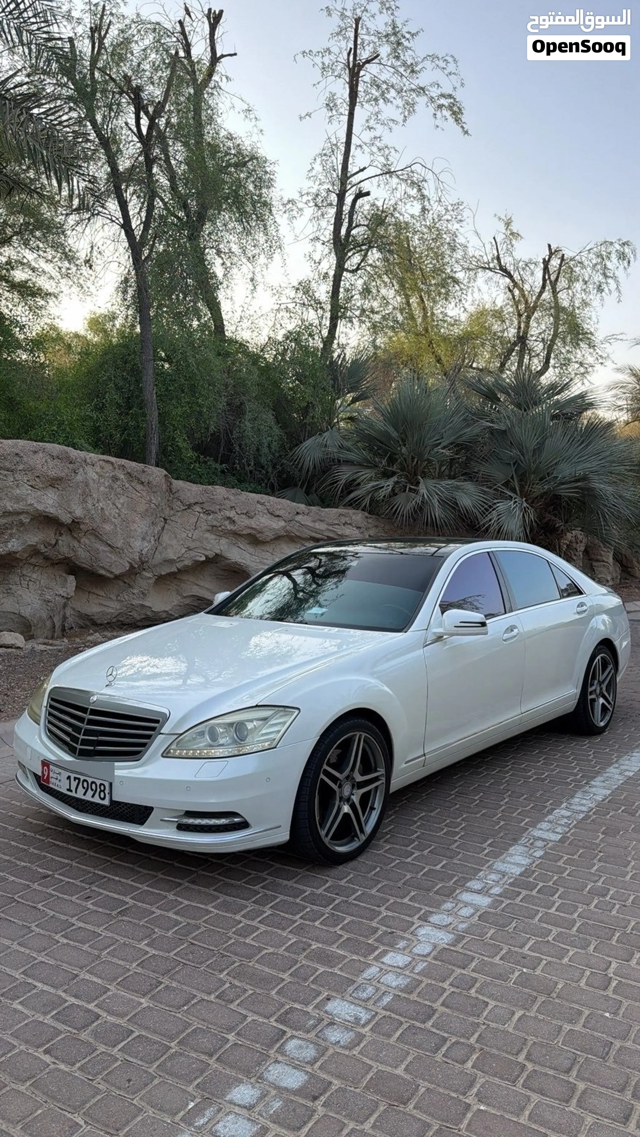2010 Mercedes Benz S-Class