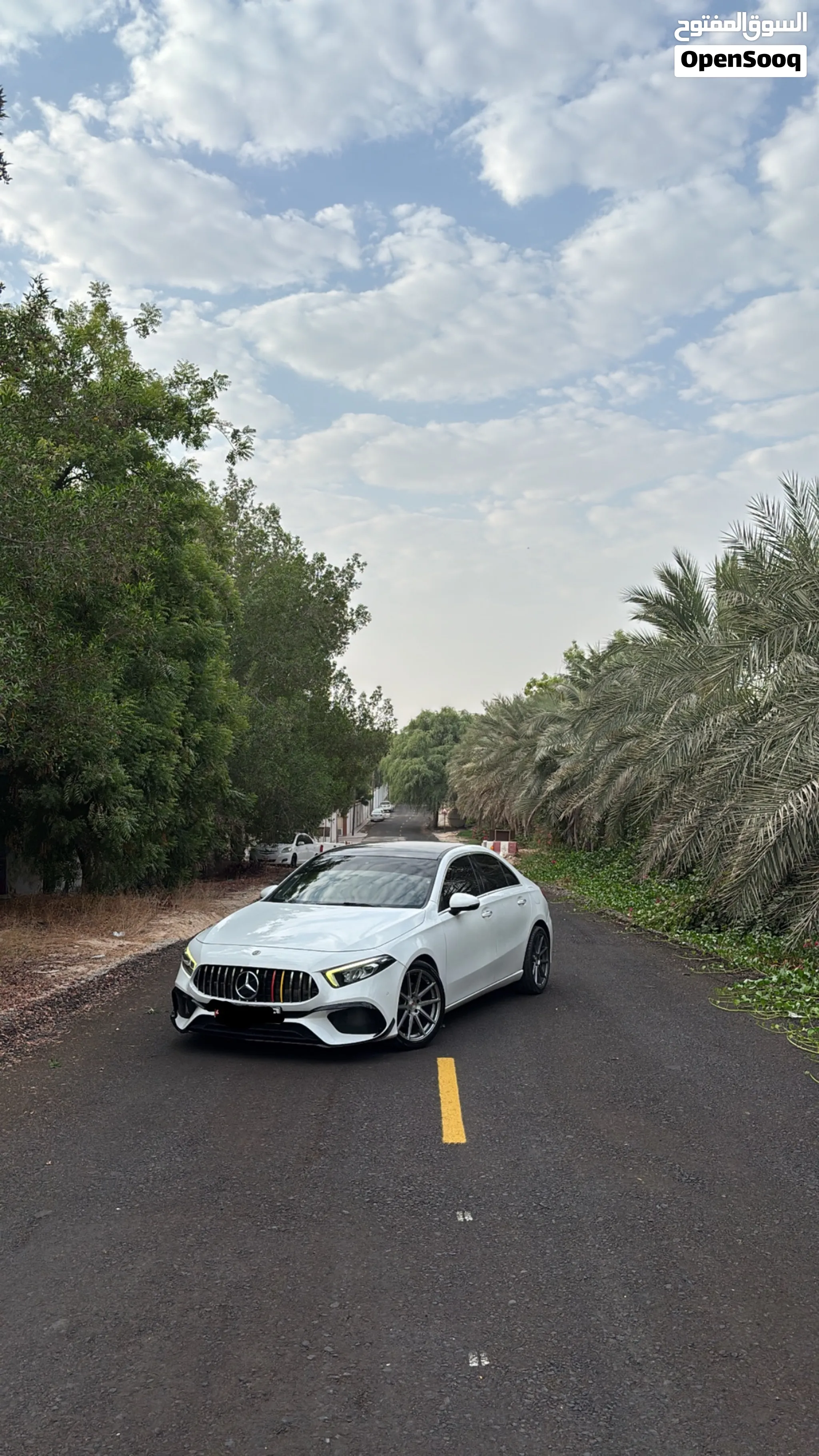 2019 Mercedes Benz A-Class