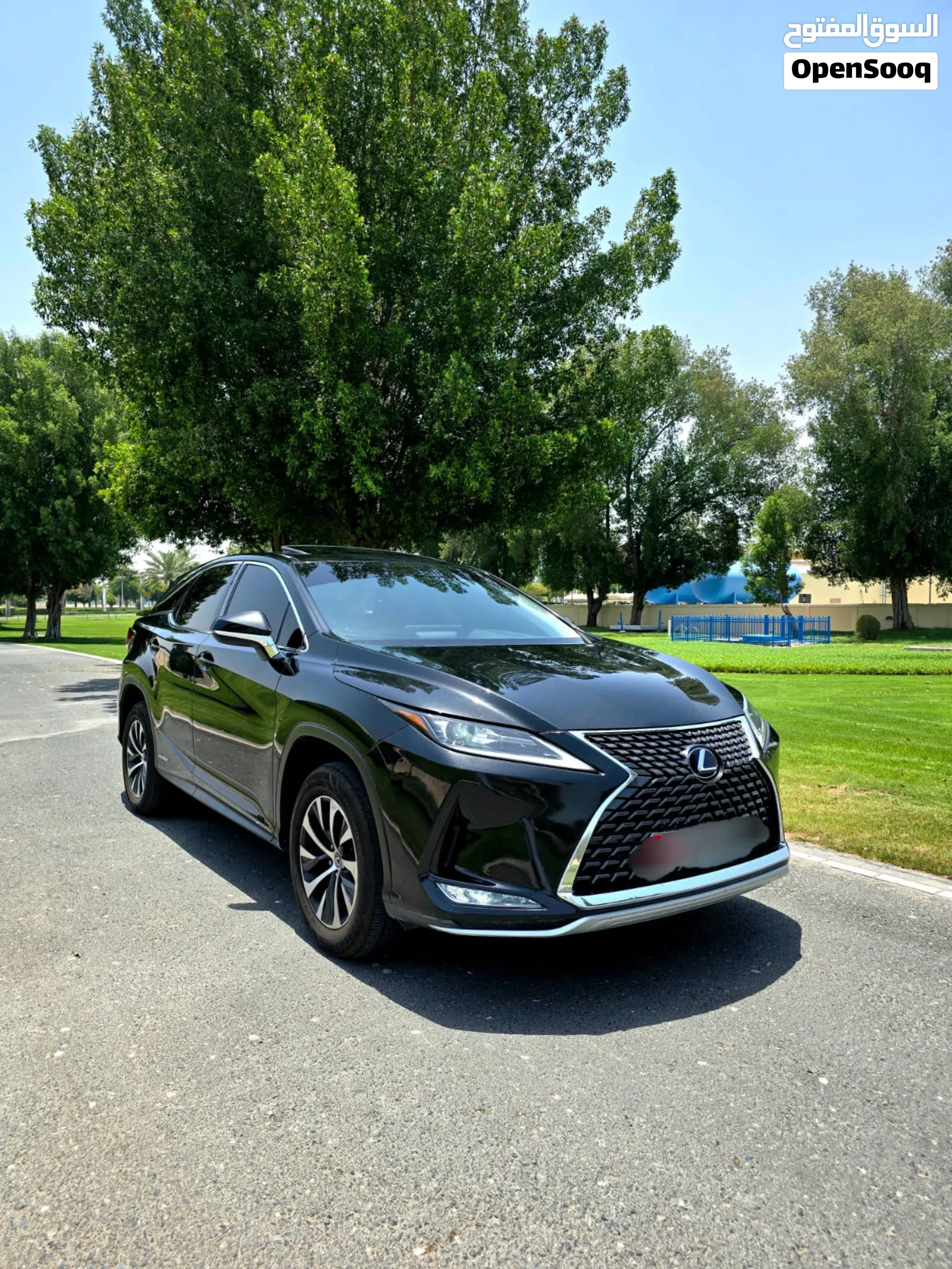 2020 Lexus RX