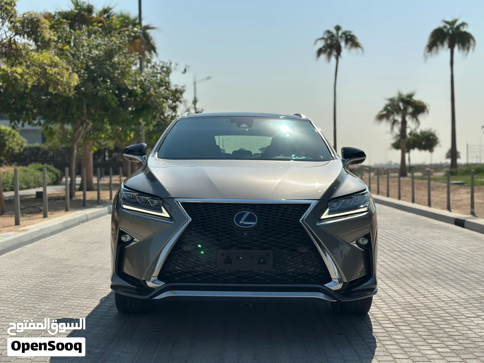 2018 Lexus RX