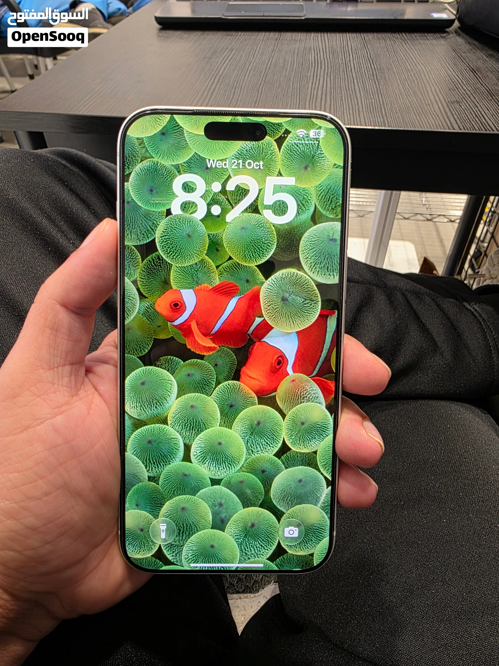 iphone 17 pro max 256GB