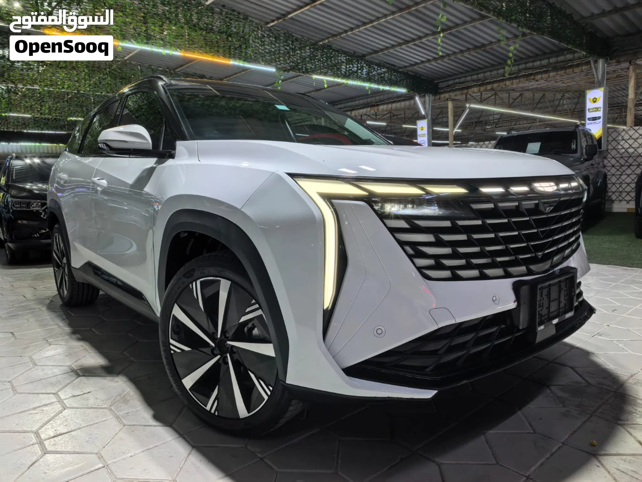 2025 Geely Starray