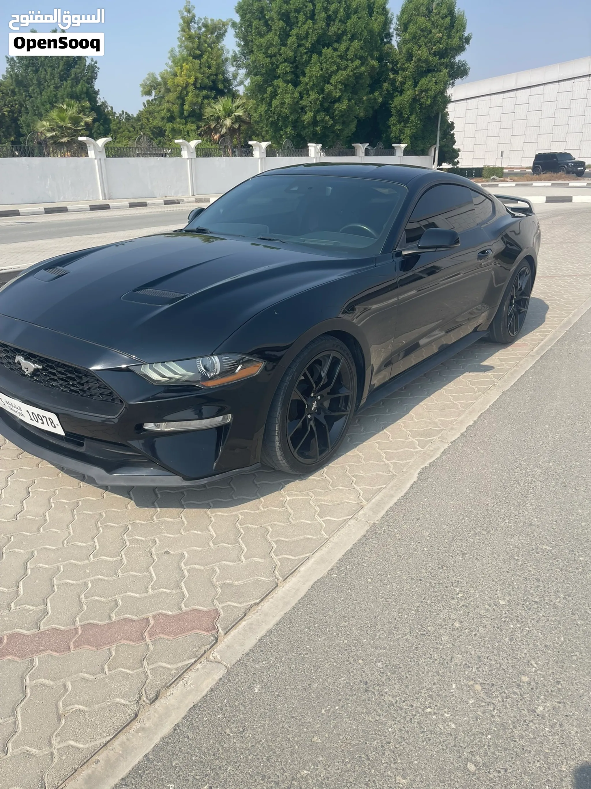 2019 Ford Mustang