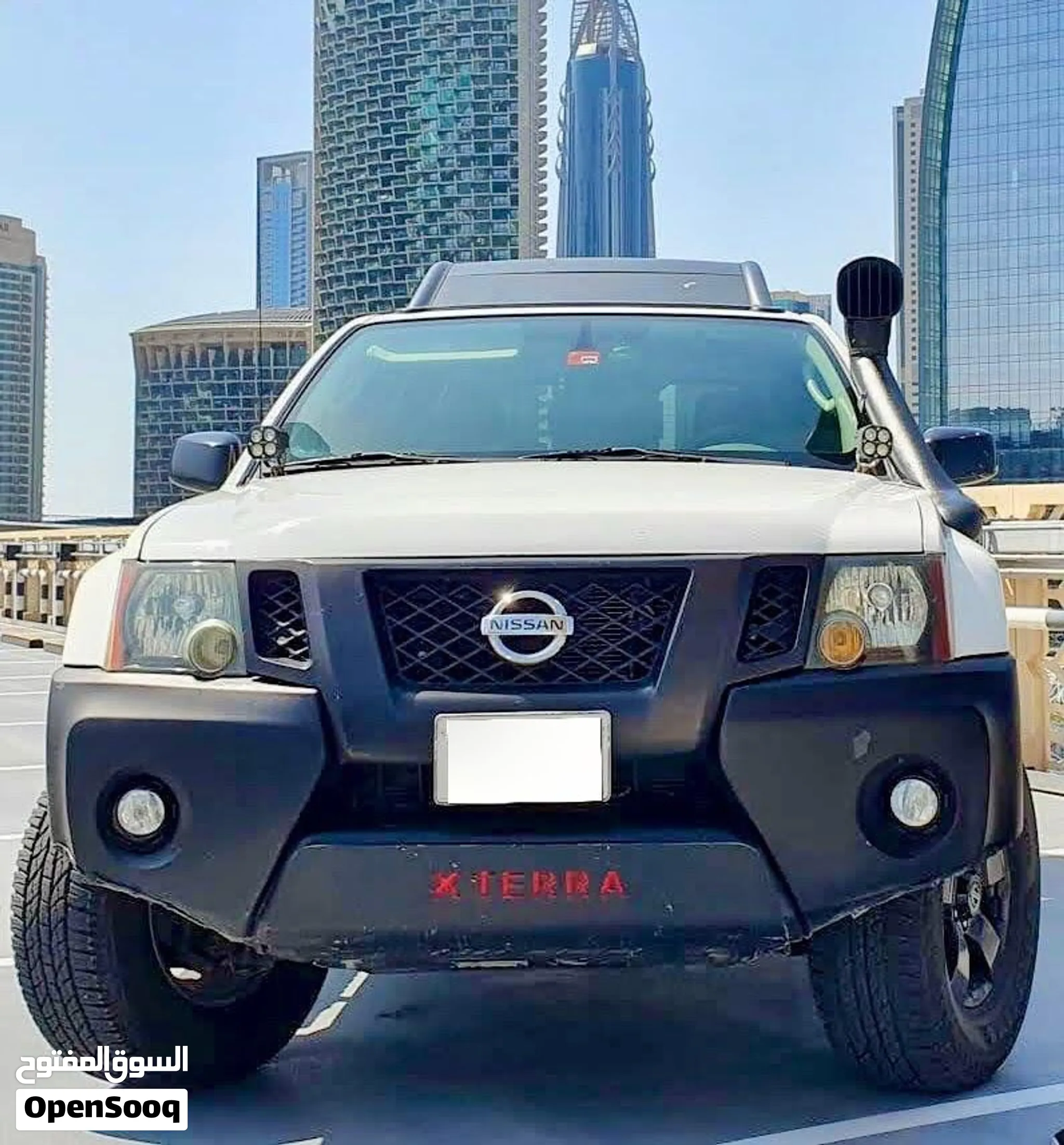 2010 Nissan X-Terra