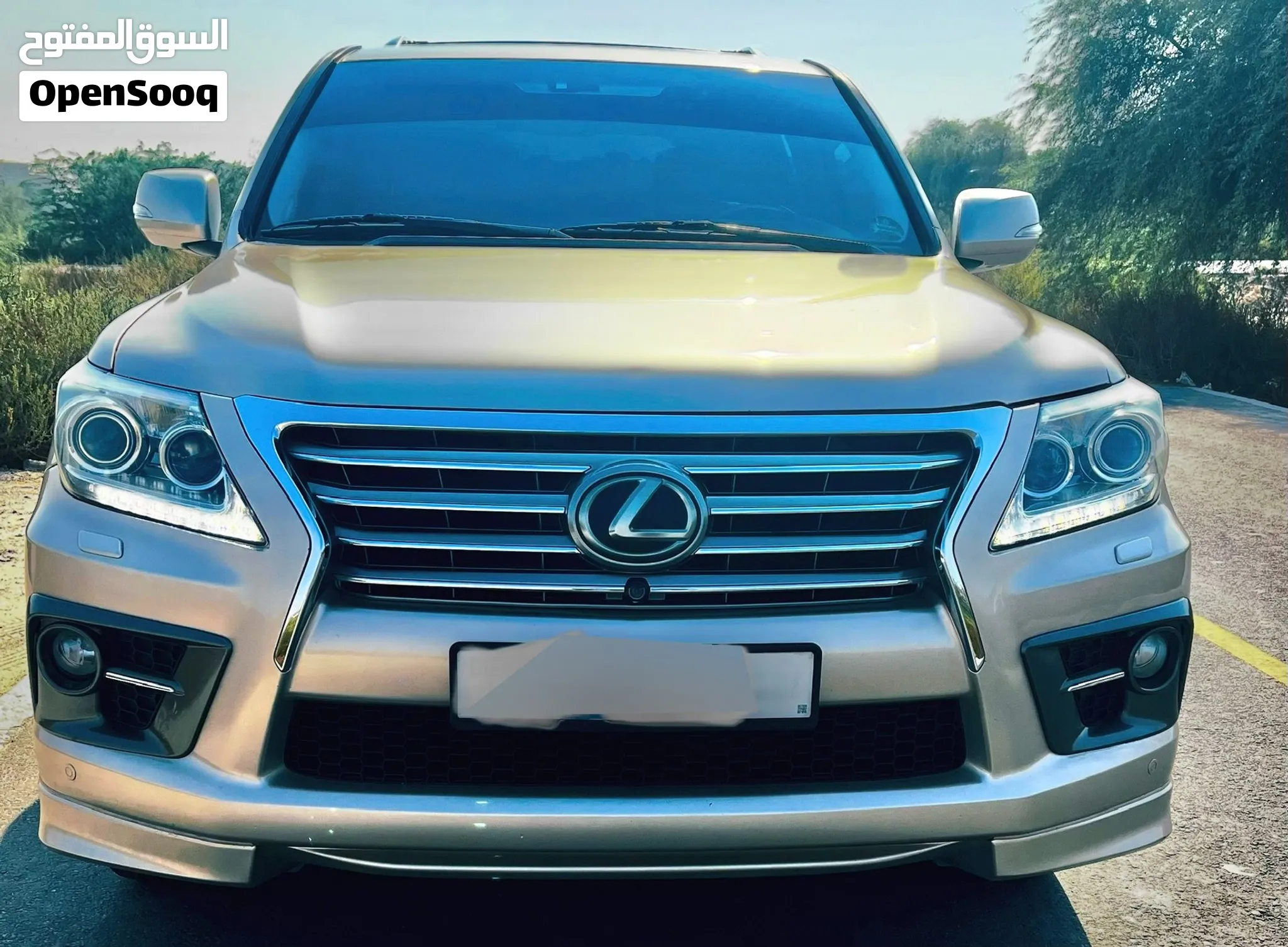 2013 Lexus LX