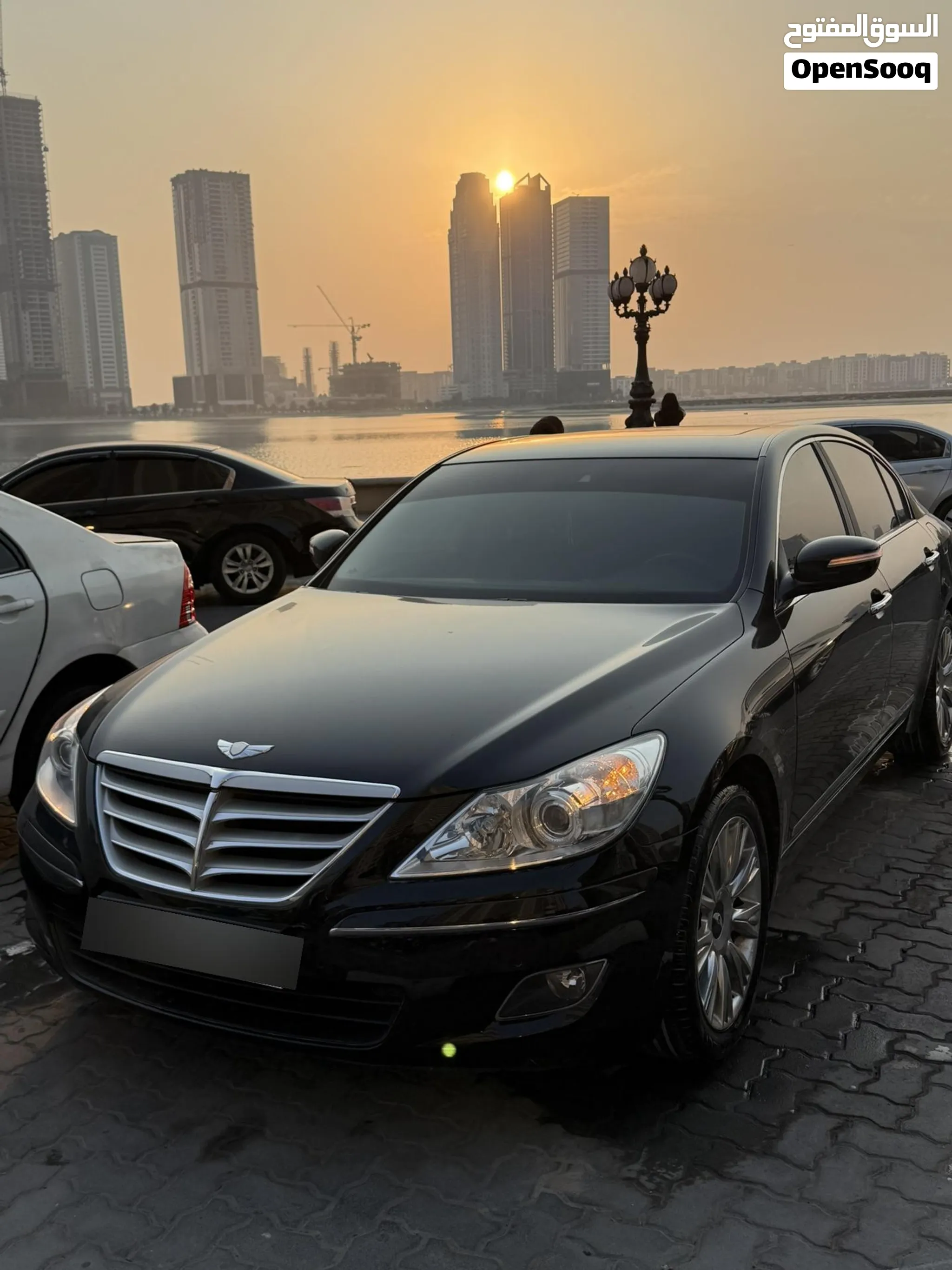 2010 Genesis Other