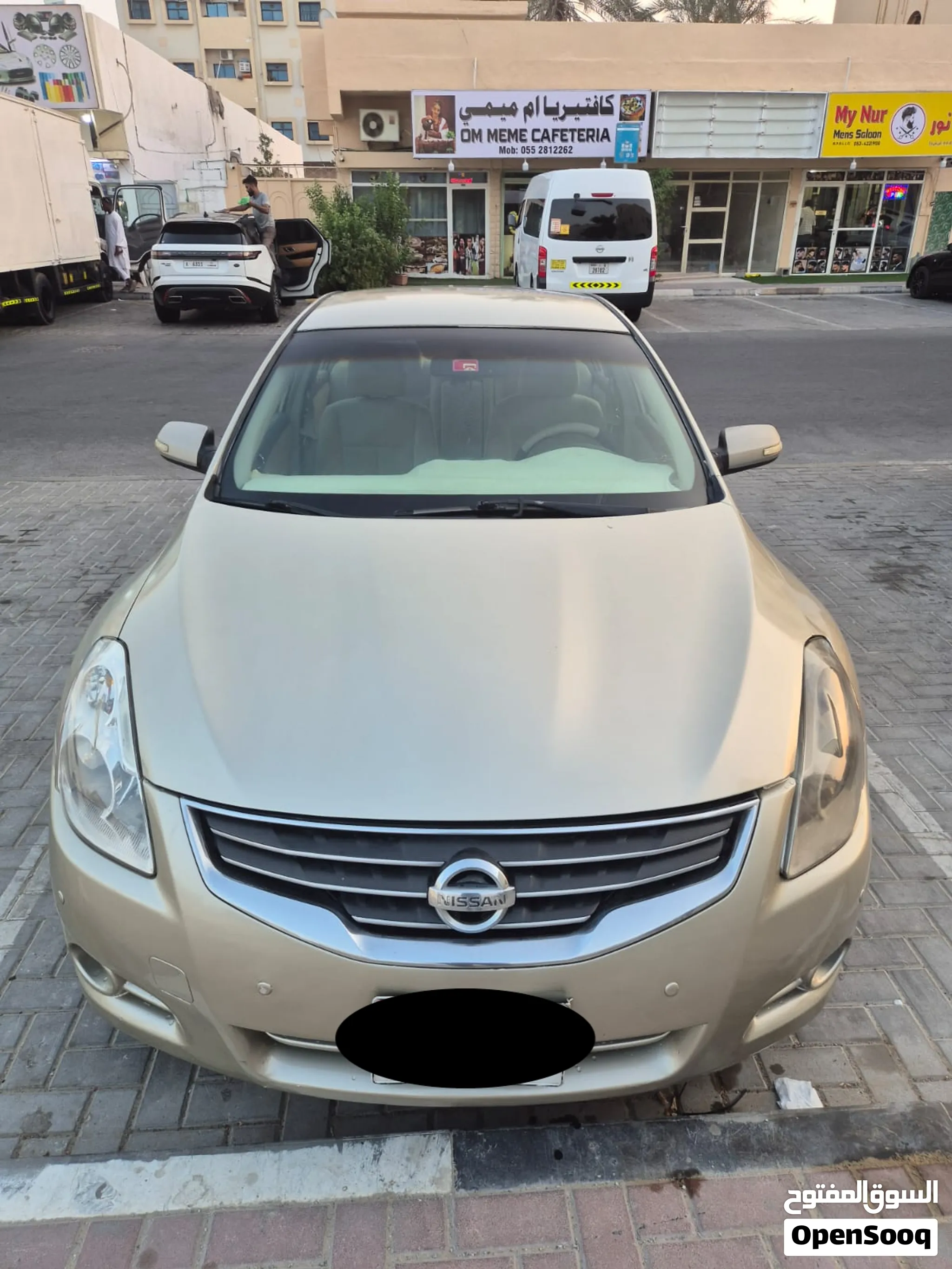 2010 Nissan Altima