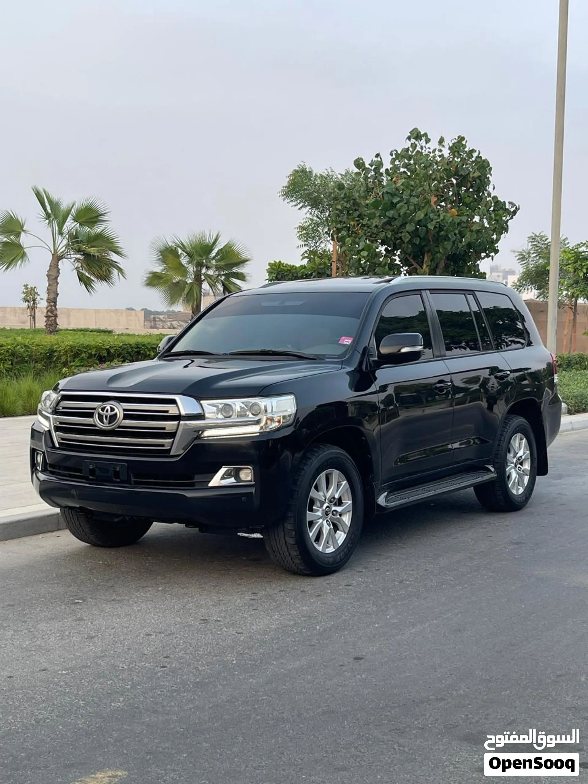 2019 Toyota Land Cruiser