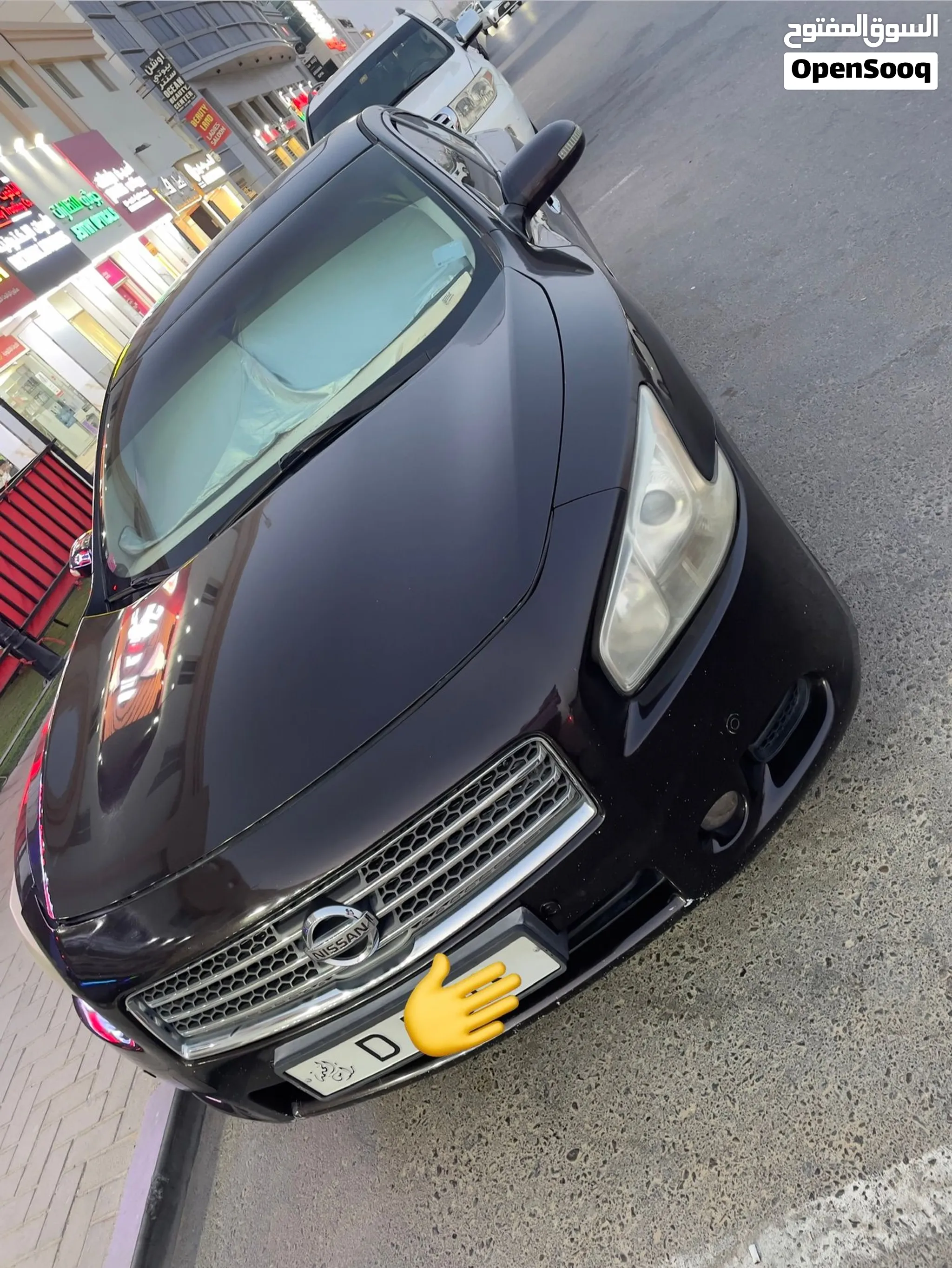 2010 Nissan Maxima