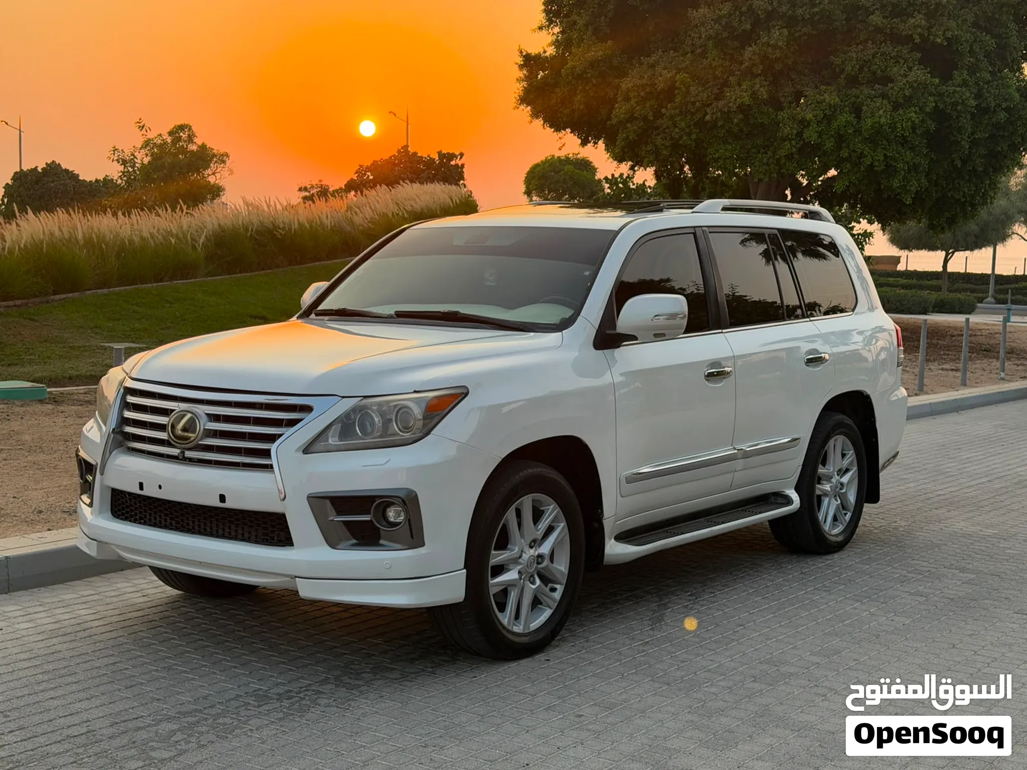 2010 Lexus LX
