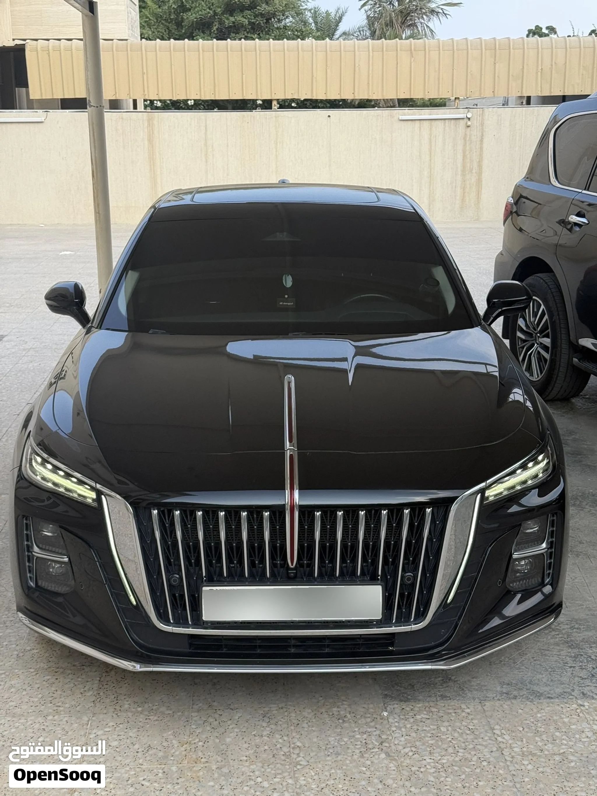 2025 Hongqi Ousado