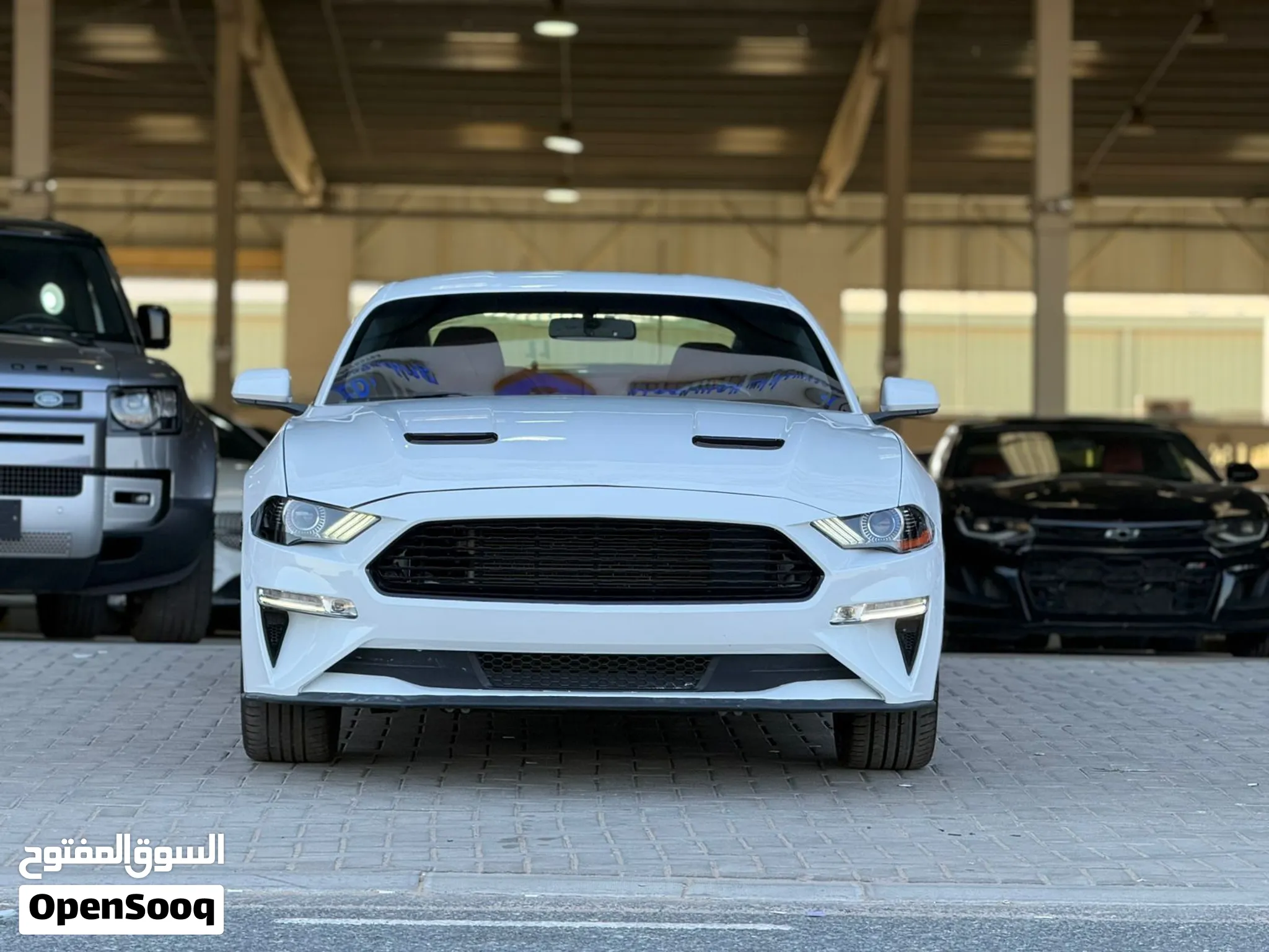 2019 Ford Mustang