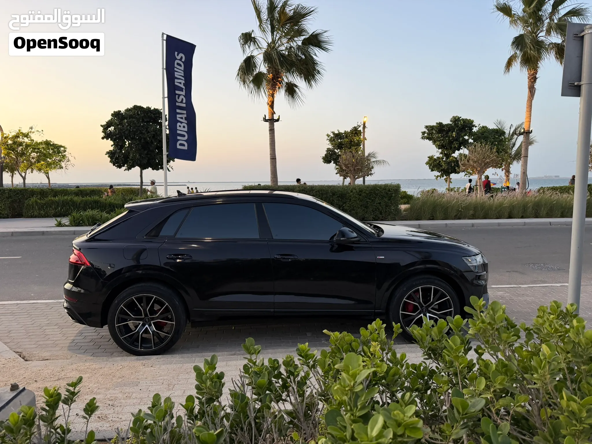2019 Audi Q8