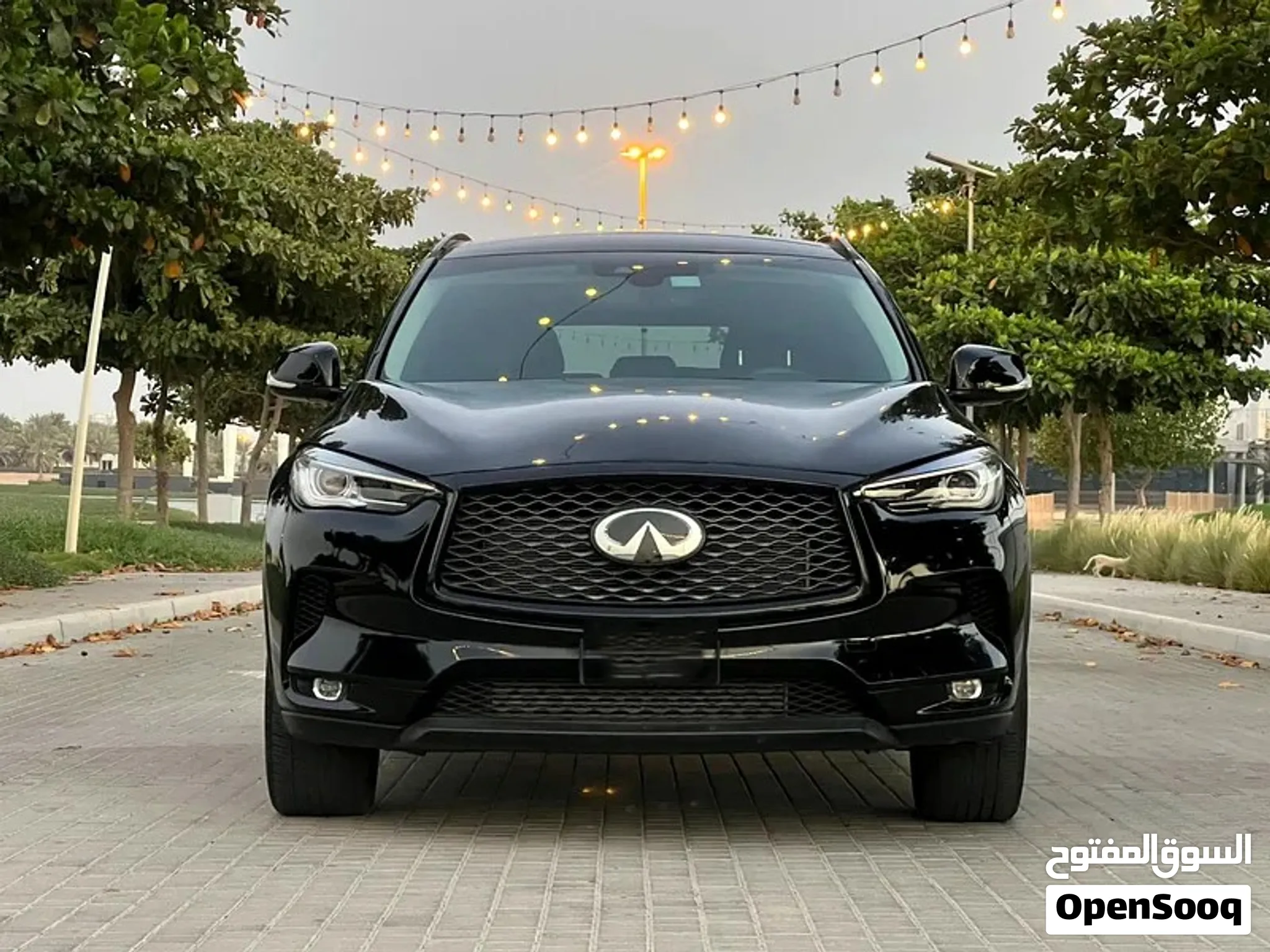 2022 Infiniti Qx50