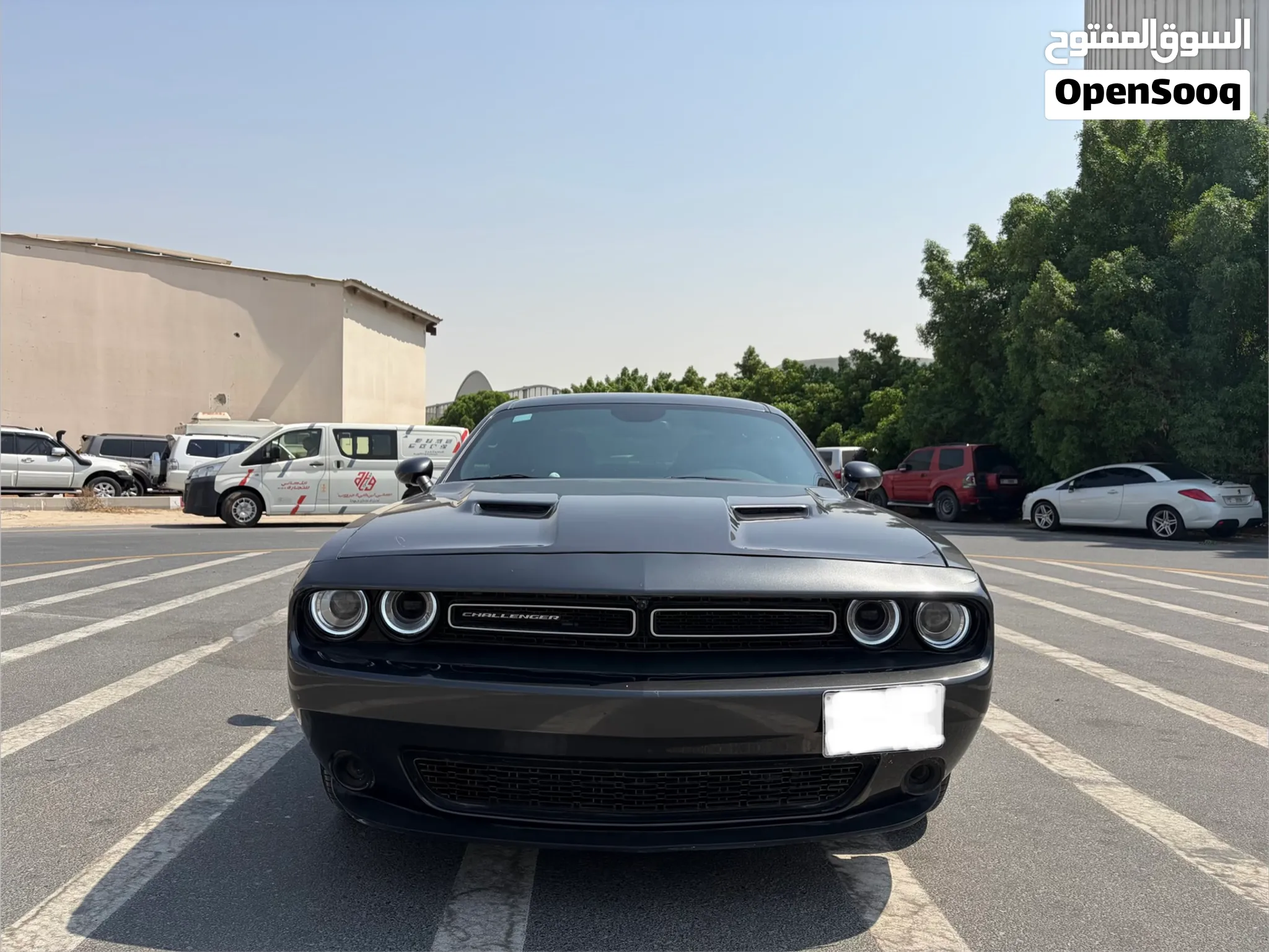 2016 Dodge Challenger