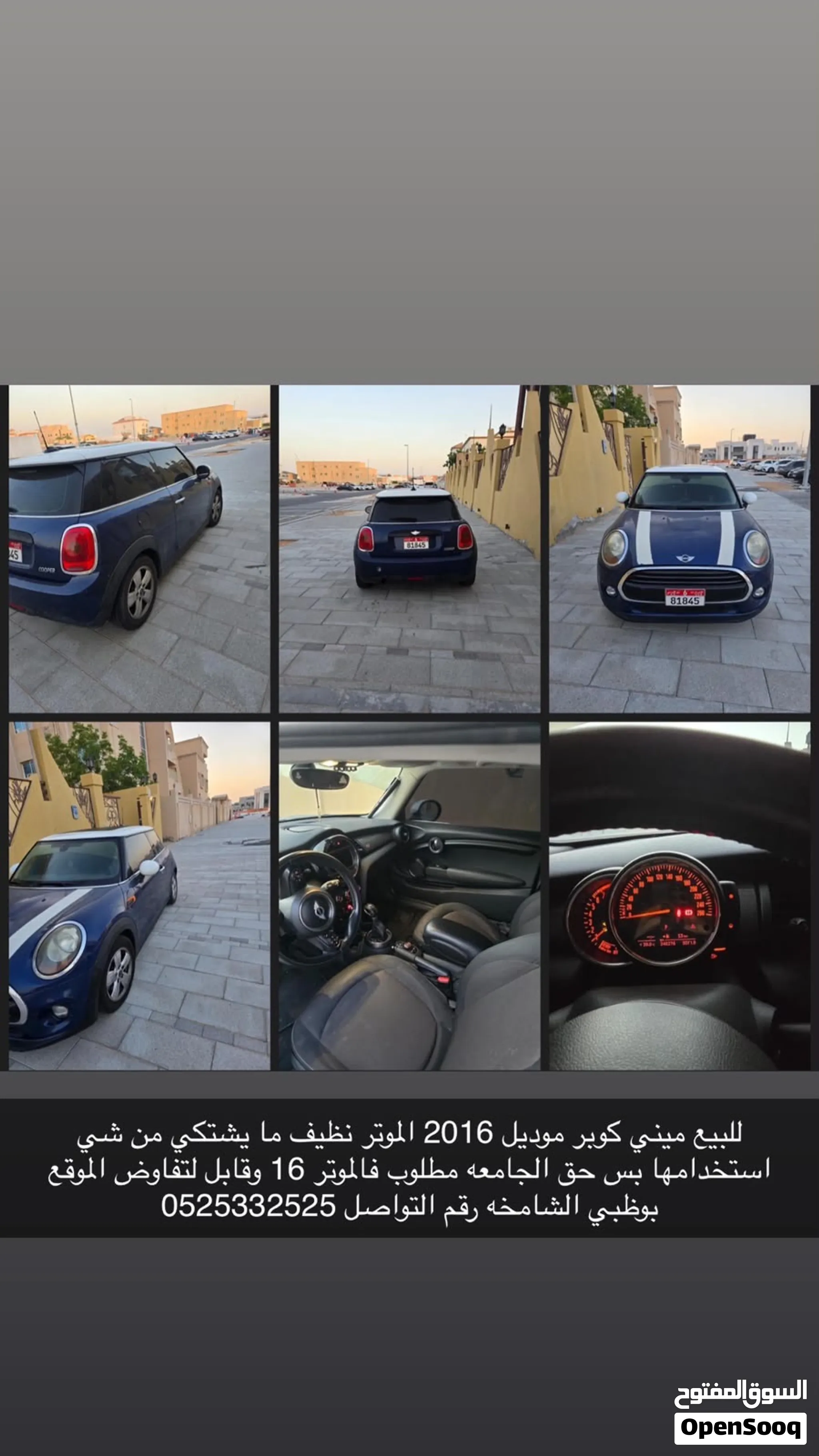 2016 Mini Other