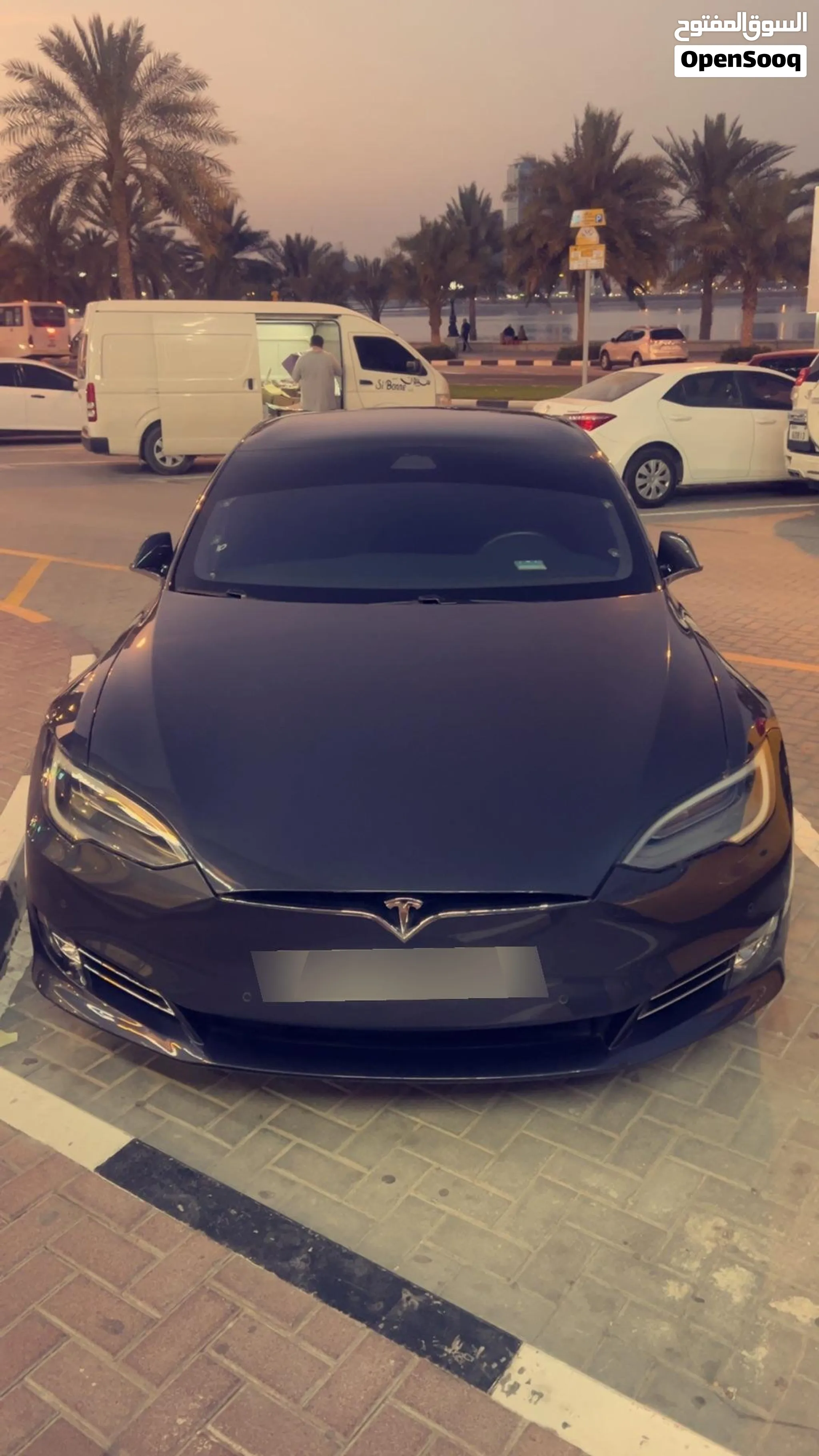 2020 Tesla Model S
