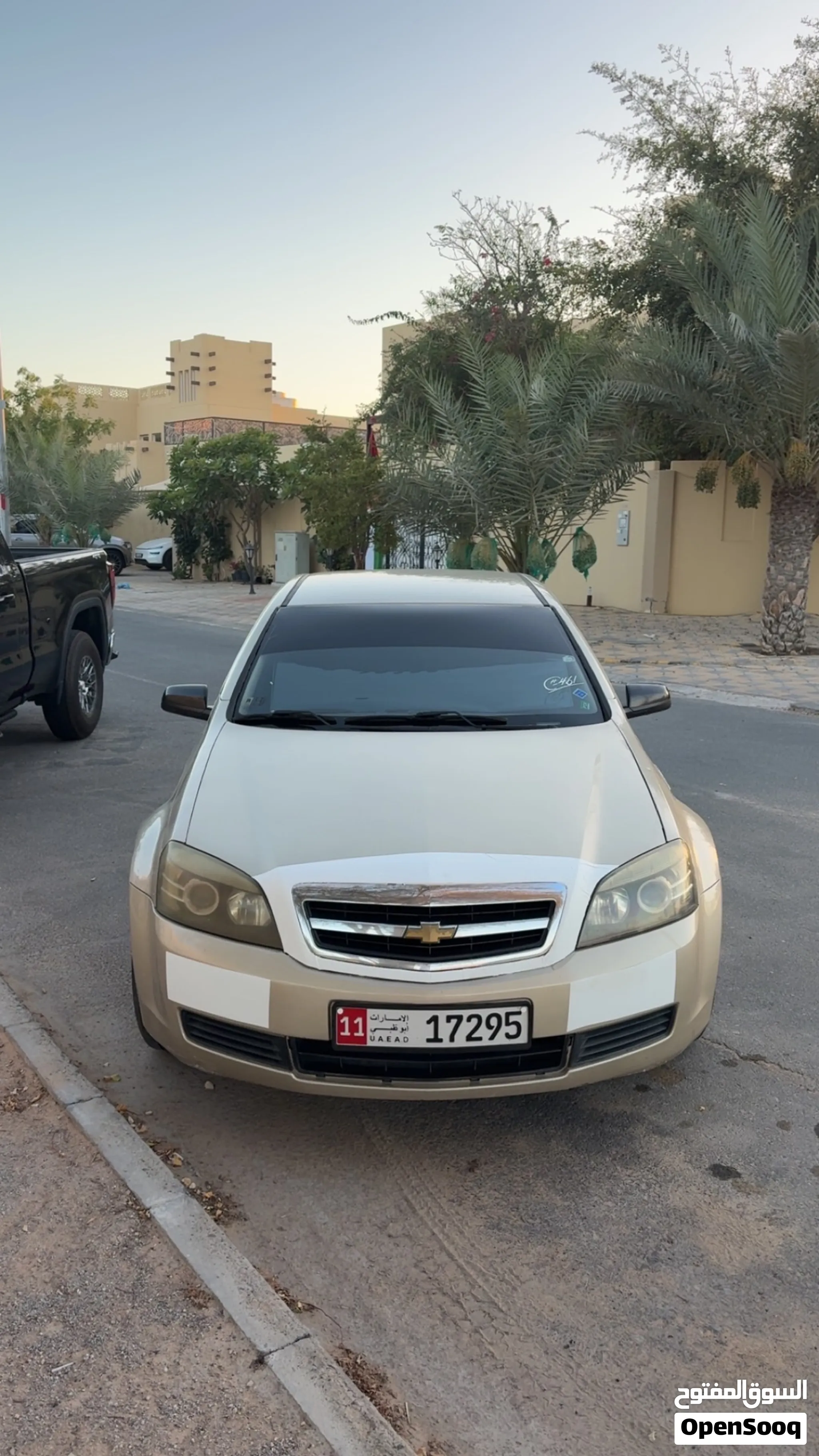 2010 Chevrolet Caprice