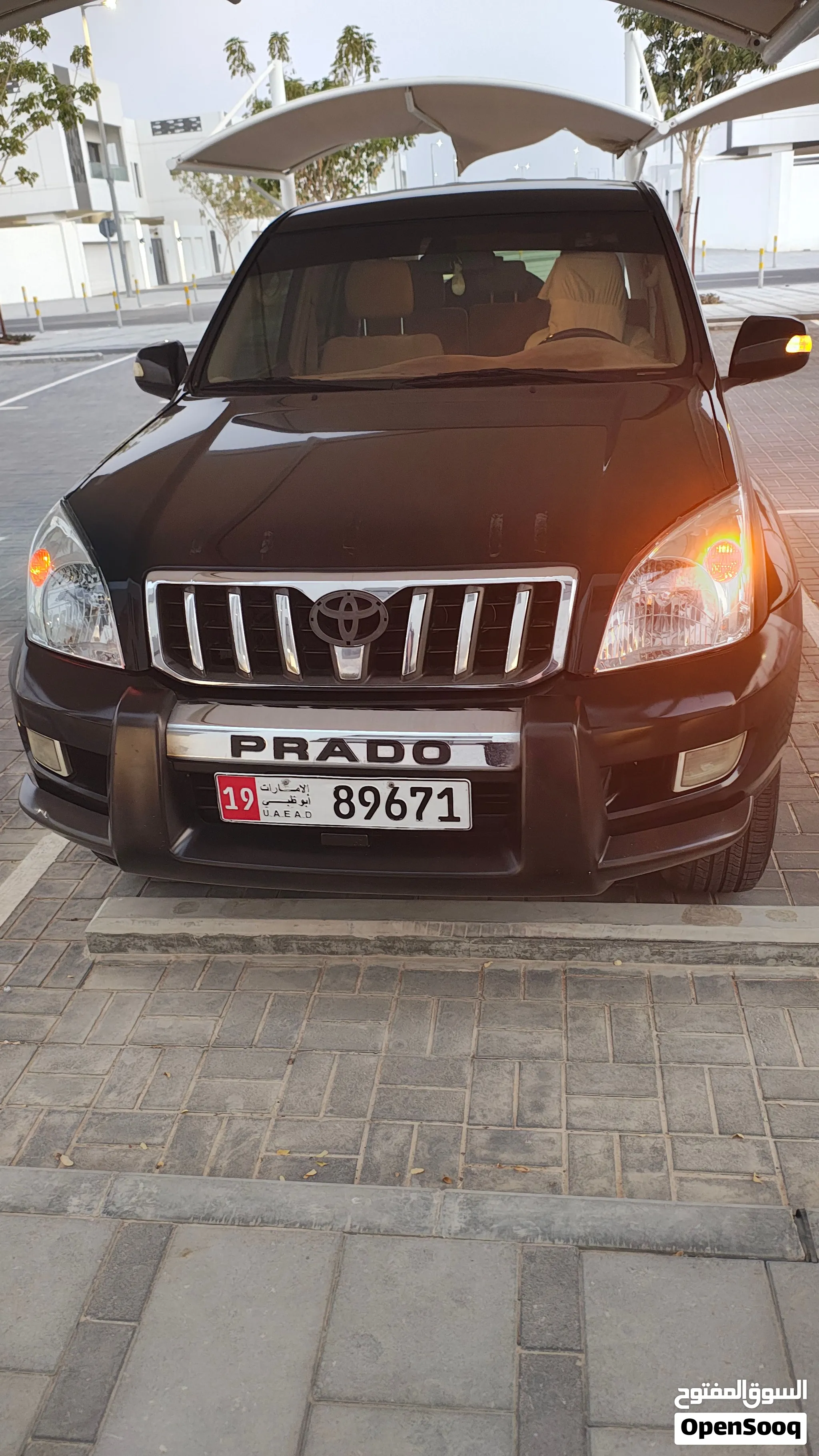 2009 Toyota Prado