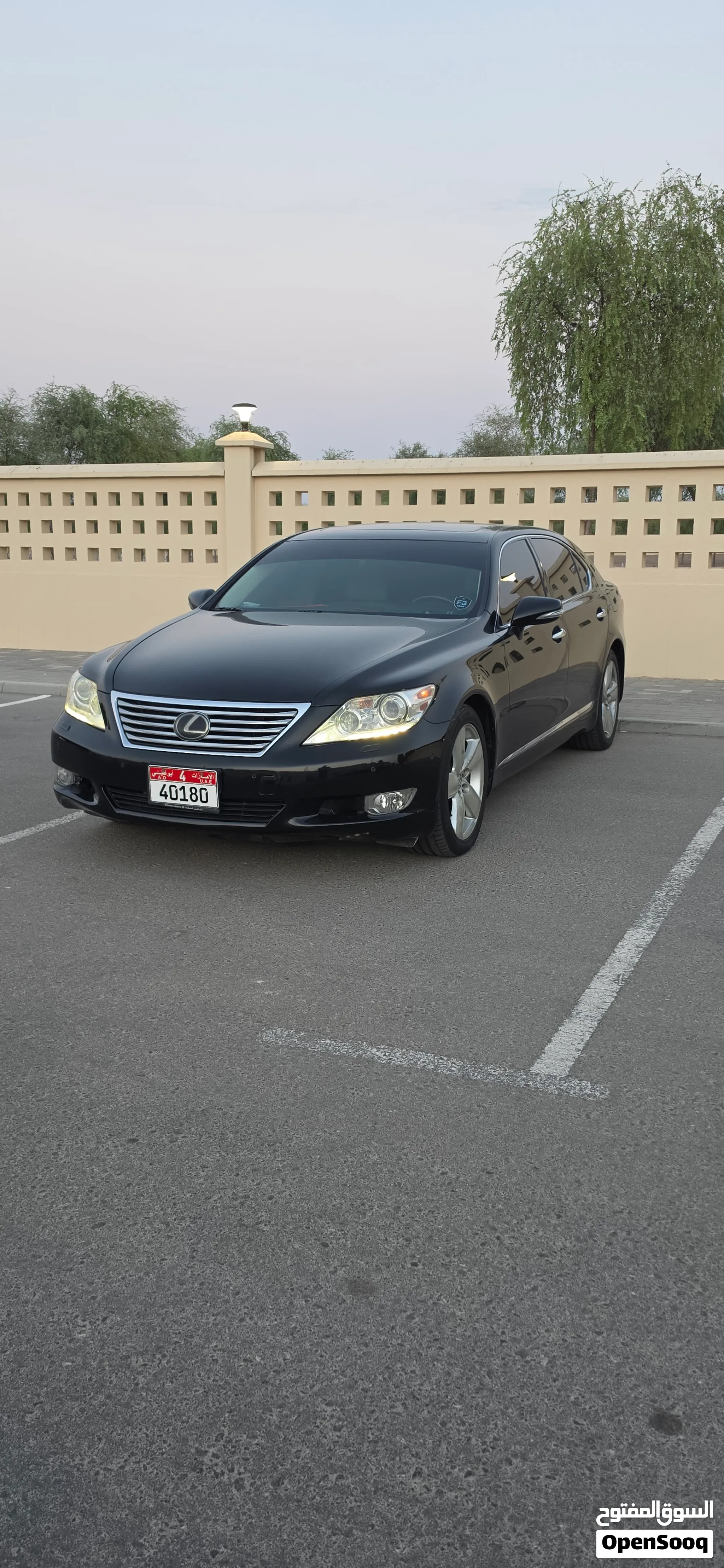 2010 Lexus LS