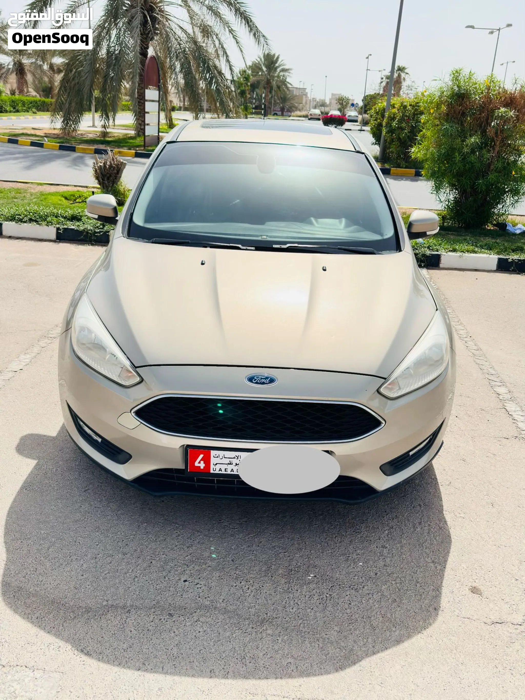 2015 Ford Focus