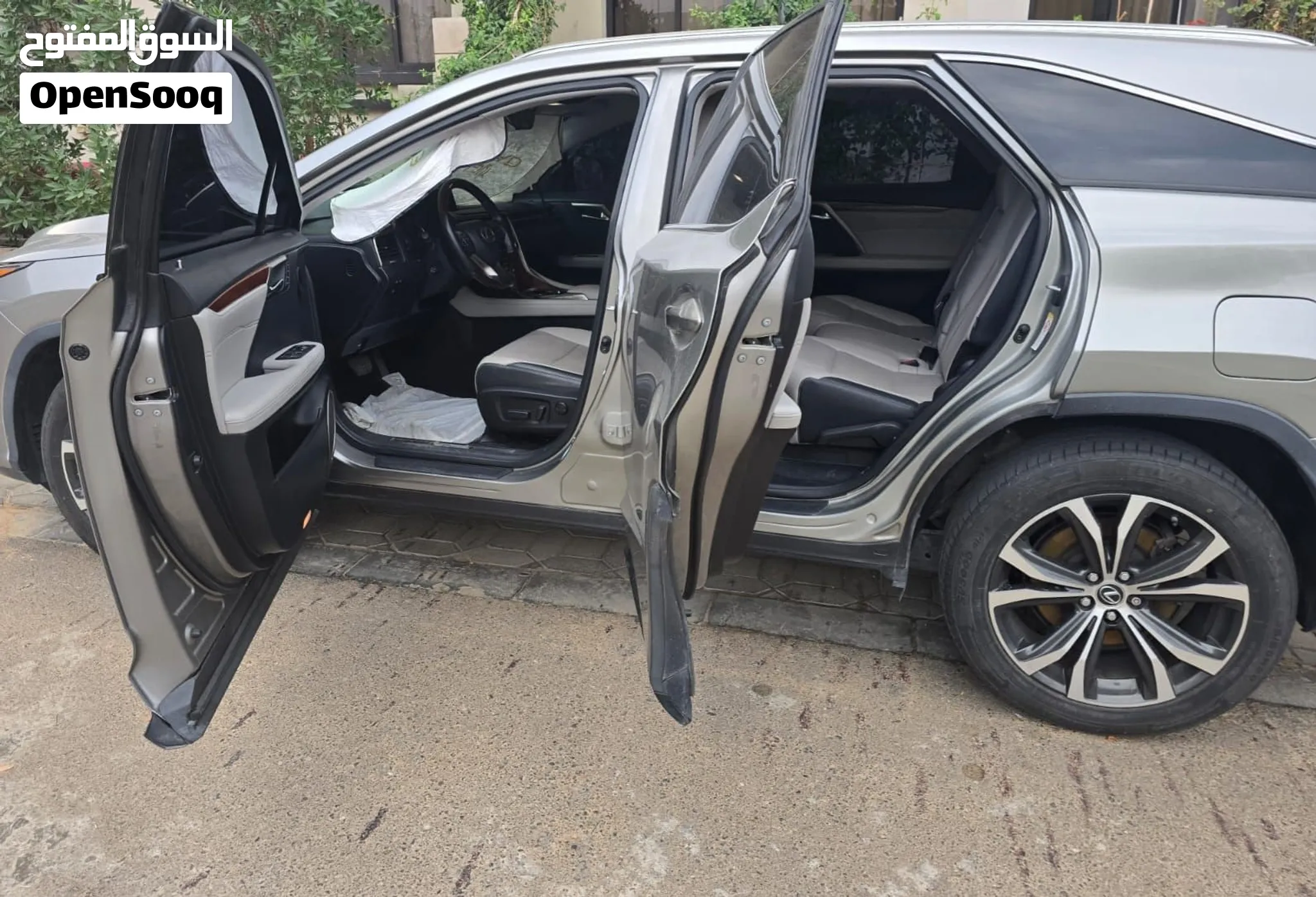 2019 Lexus RX