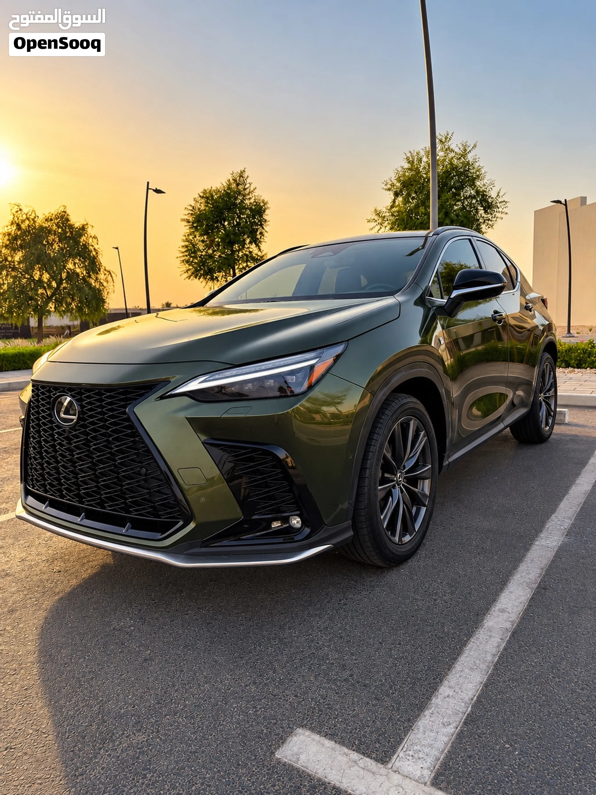 2025 Lexus NX