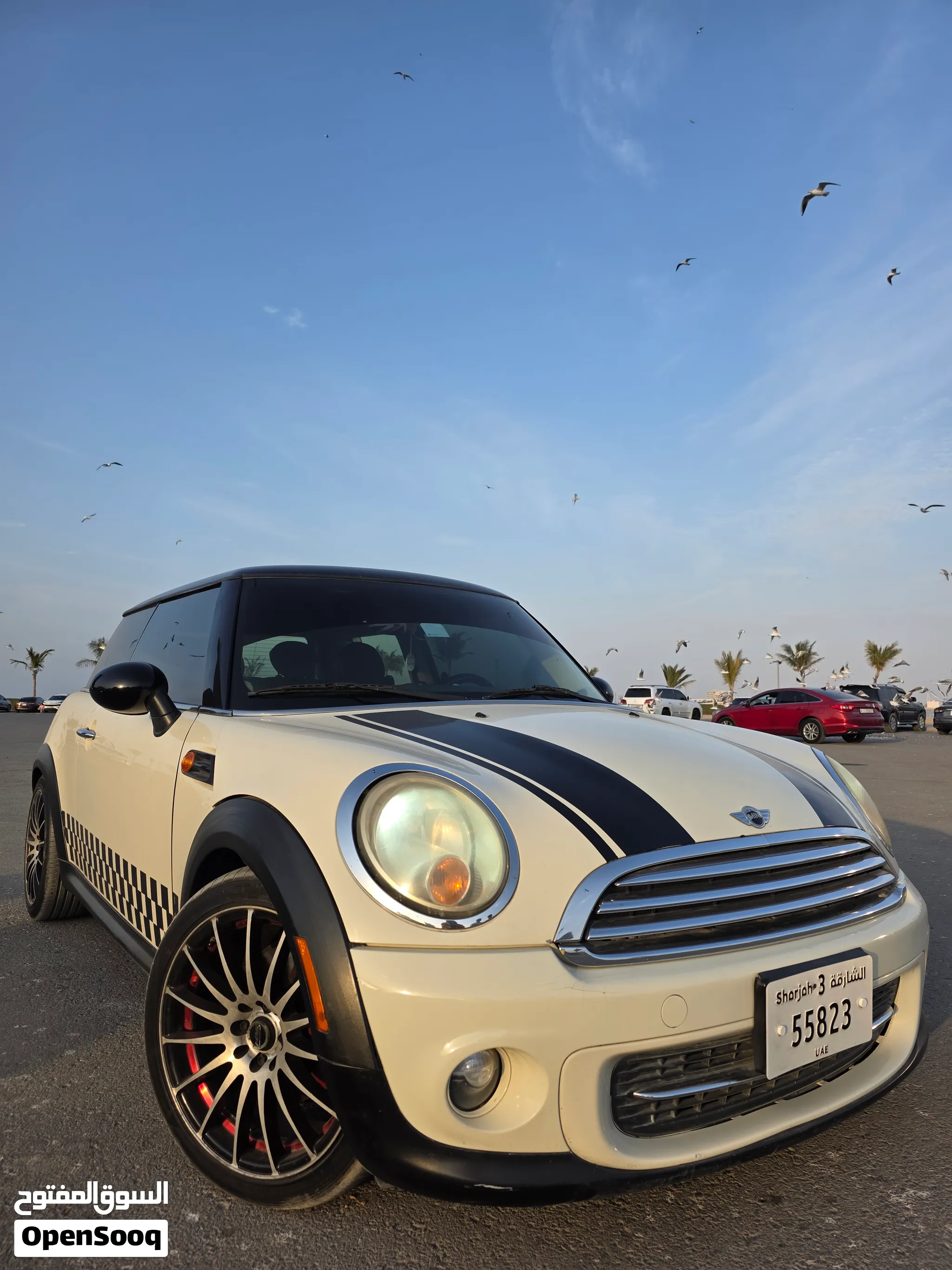 2011 Mini Other