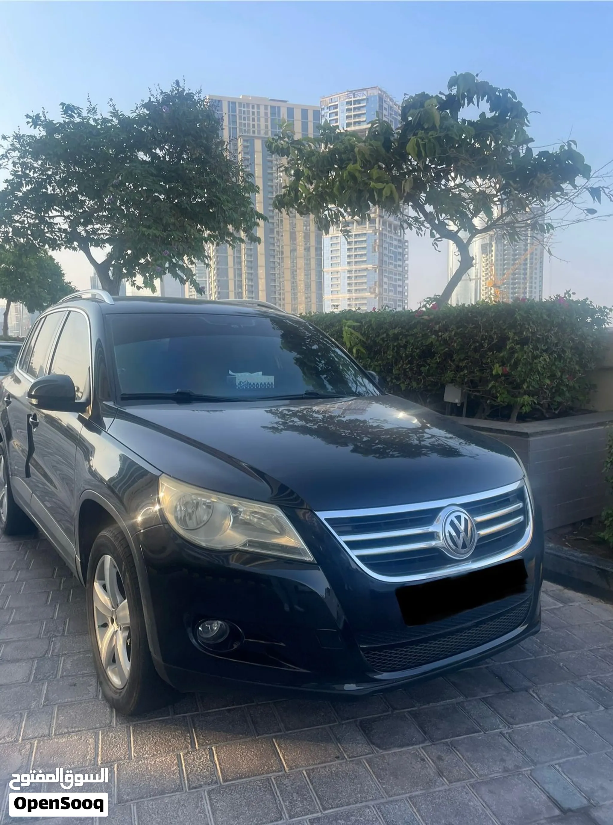 2009 Volkswagen Tiguan