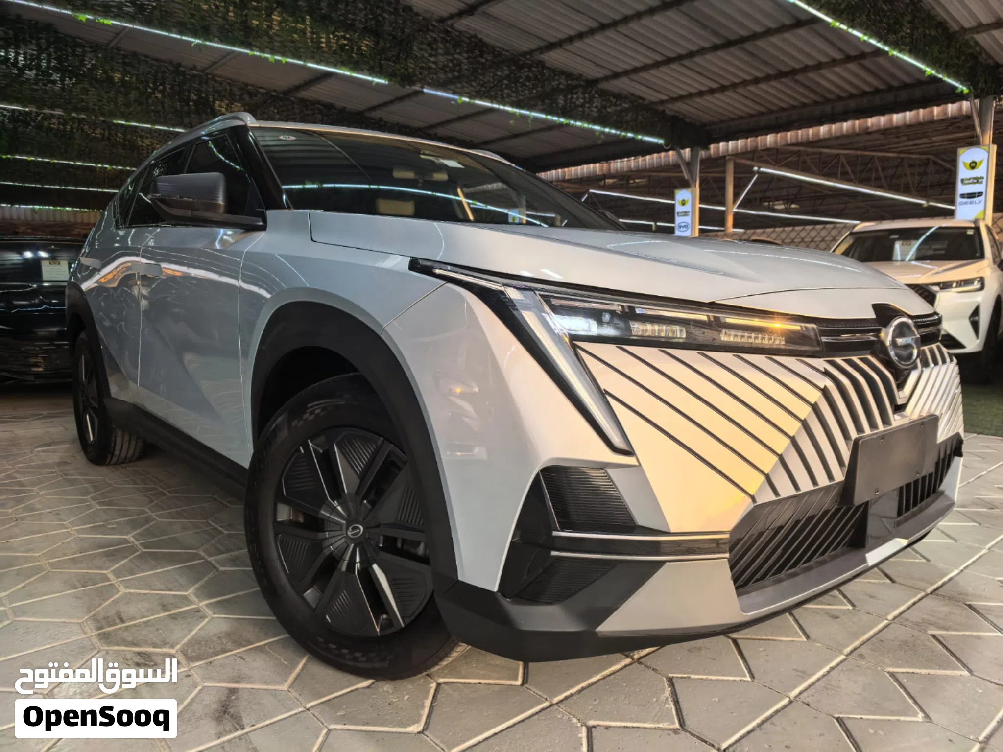 2025 GAC Emkoo