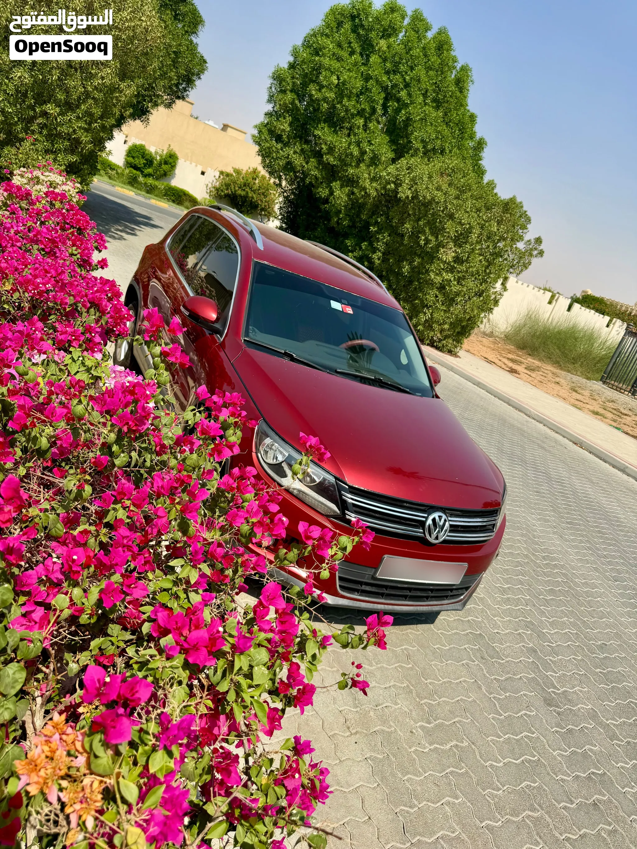2014 Volkswagen Tiguan