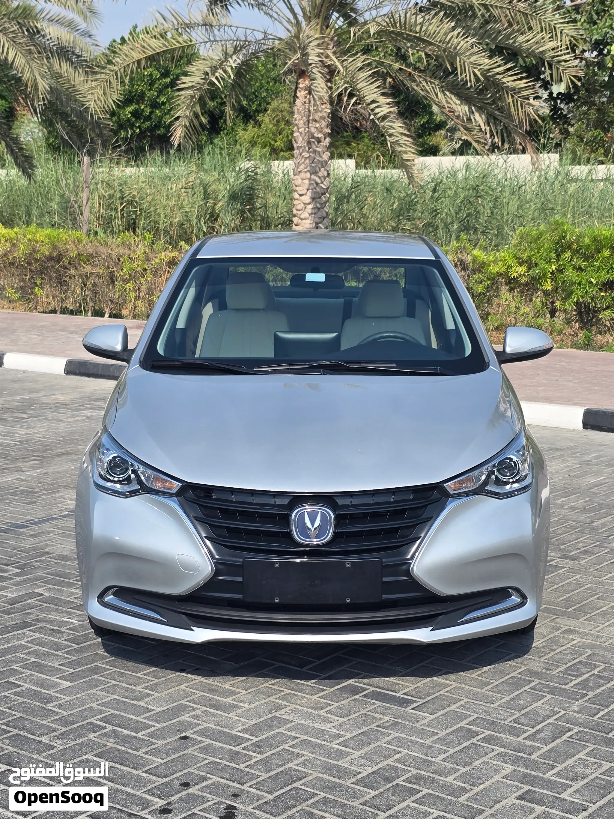 2024 Changan Alsvin