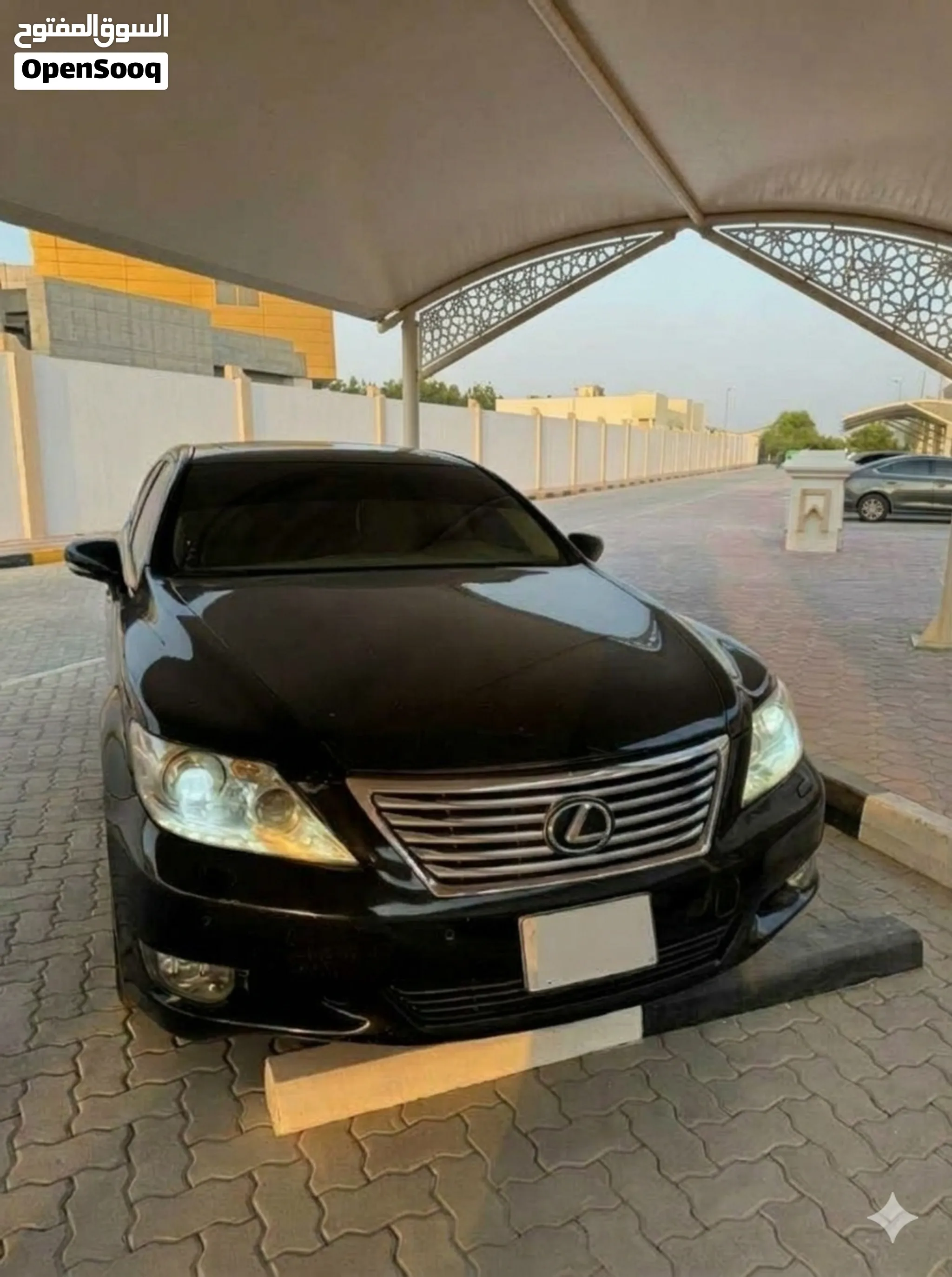 2010 Lexus LS
