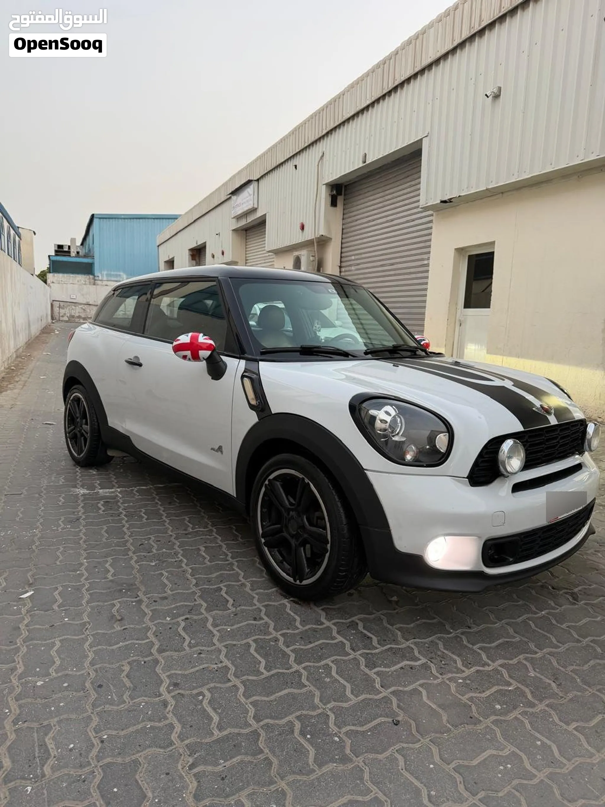 2015 Mini Other