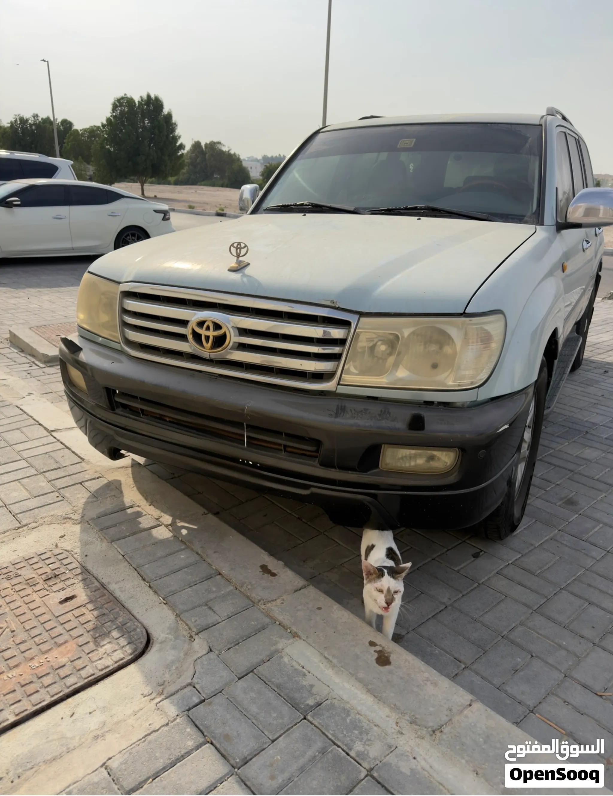 2006 Toyota Land Cruiser